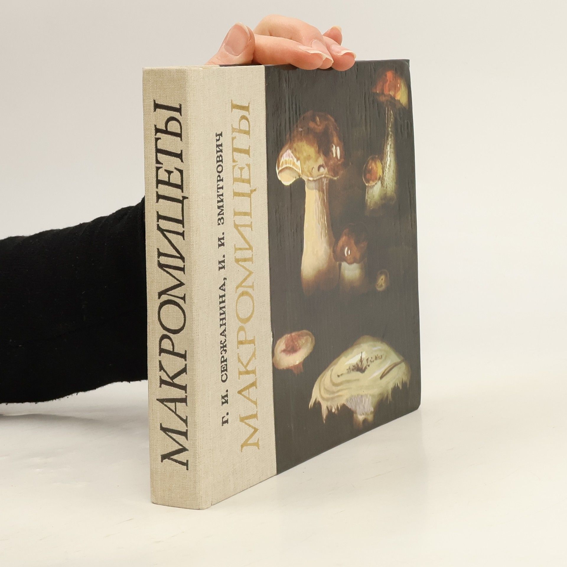 G. I. Serzhanina Макромицеты