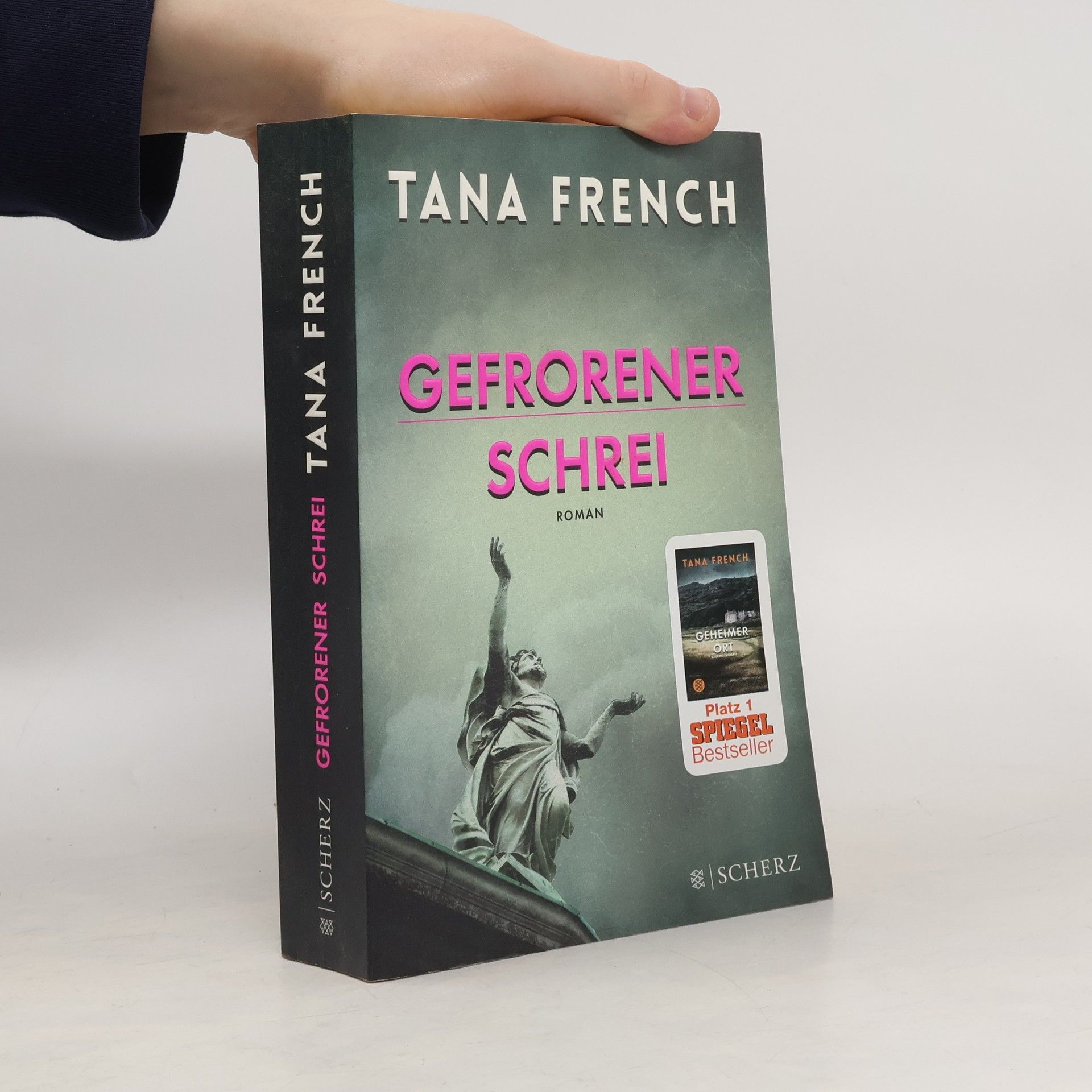Tana French Gefrorener Schrei