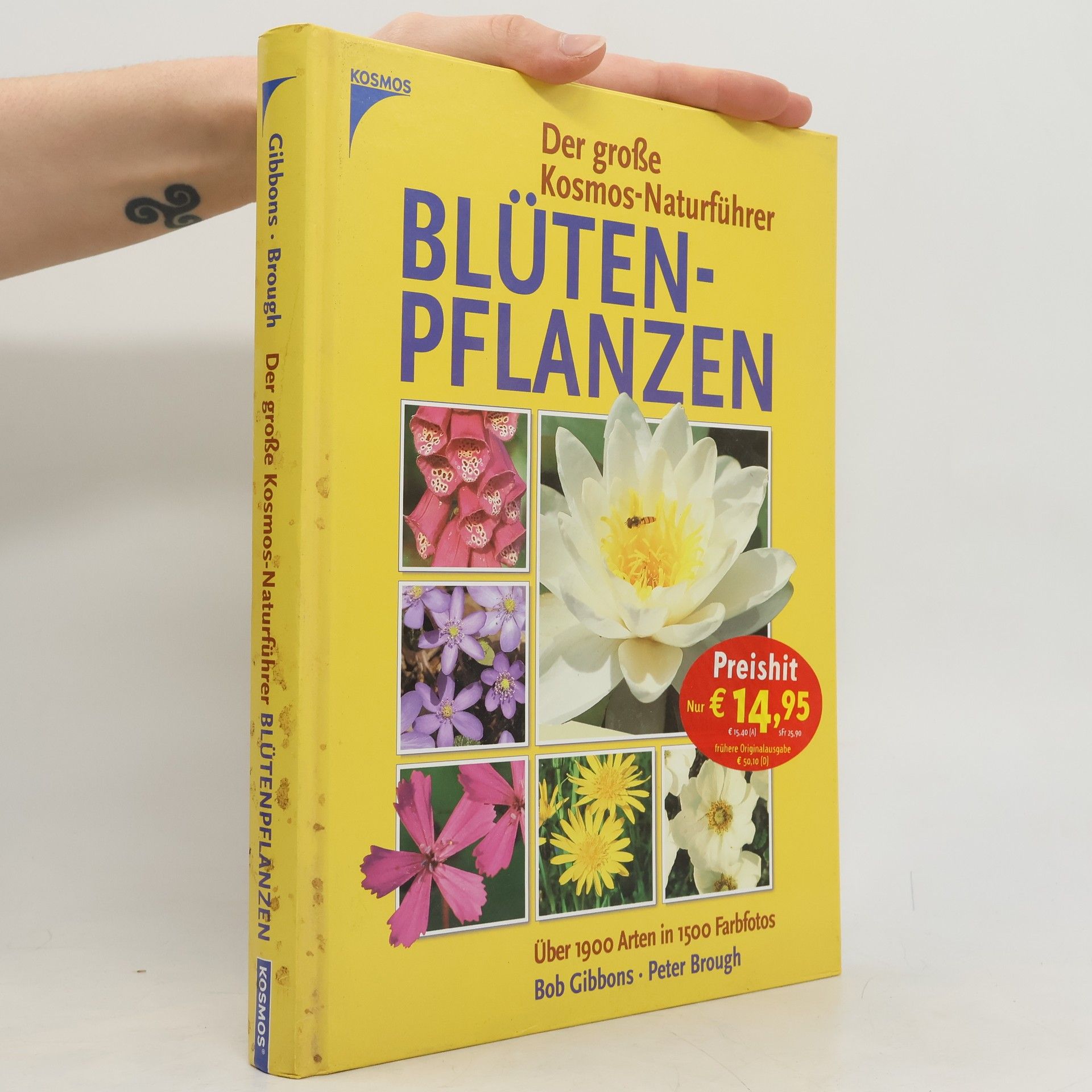 Der große Kosmos-Naturführer: Blütenpflanzen