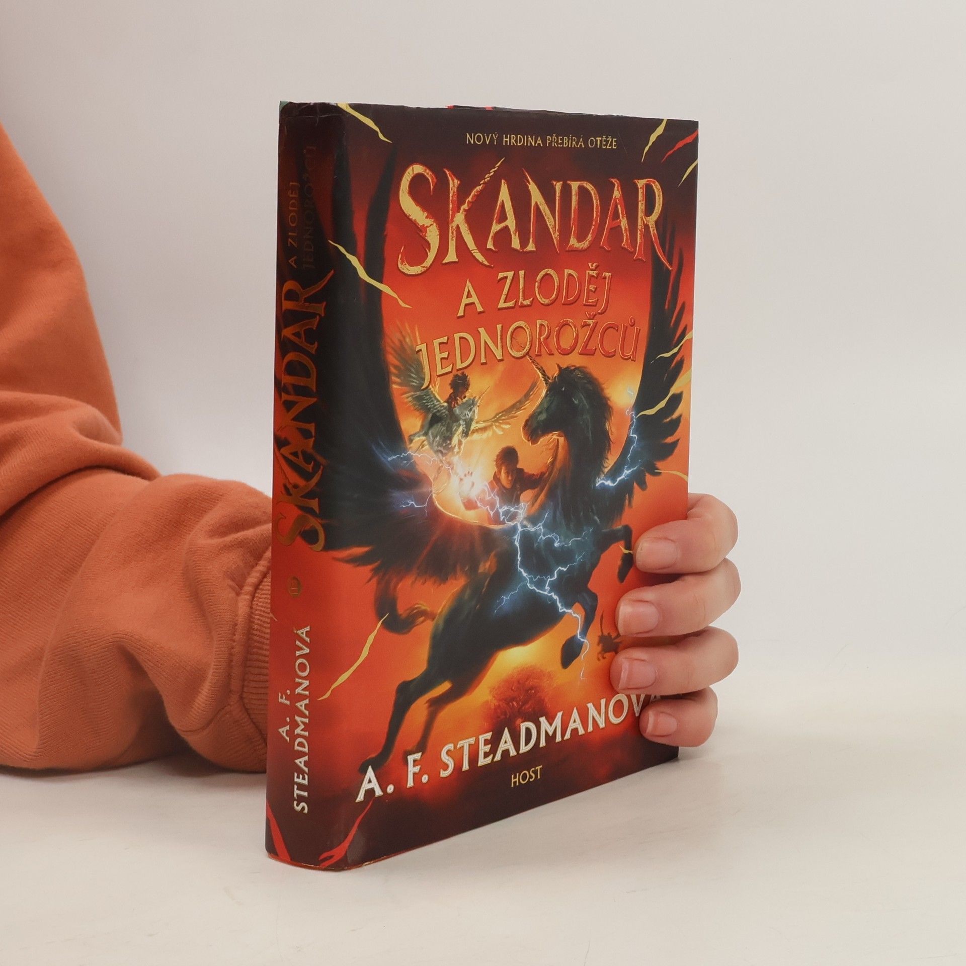 Daniela Orlando Skandar a zloděj jednorožců