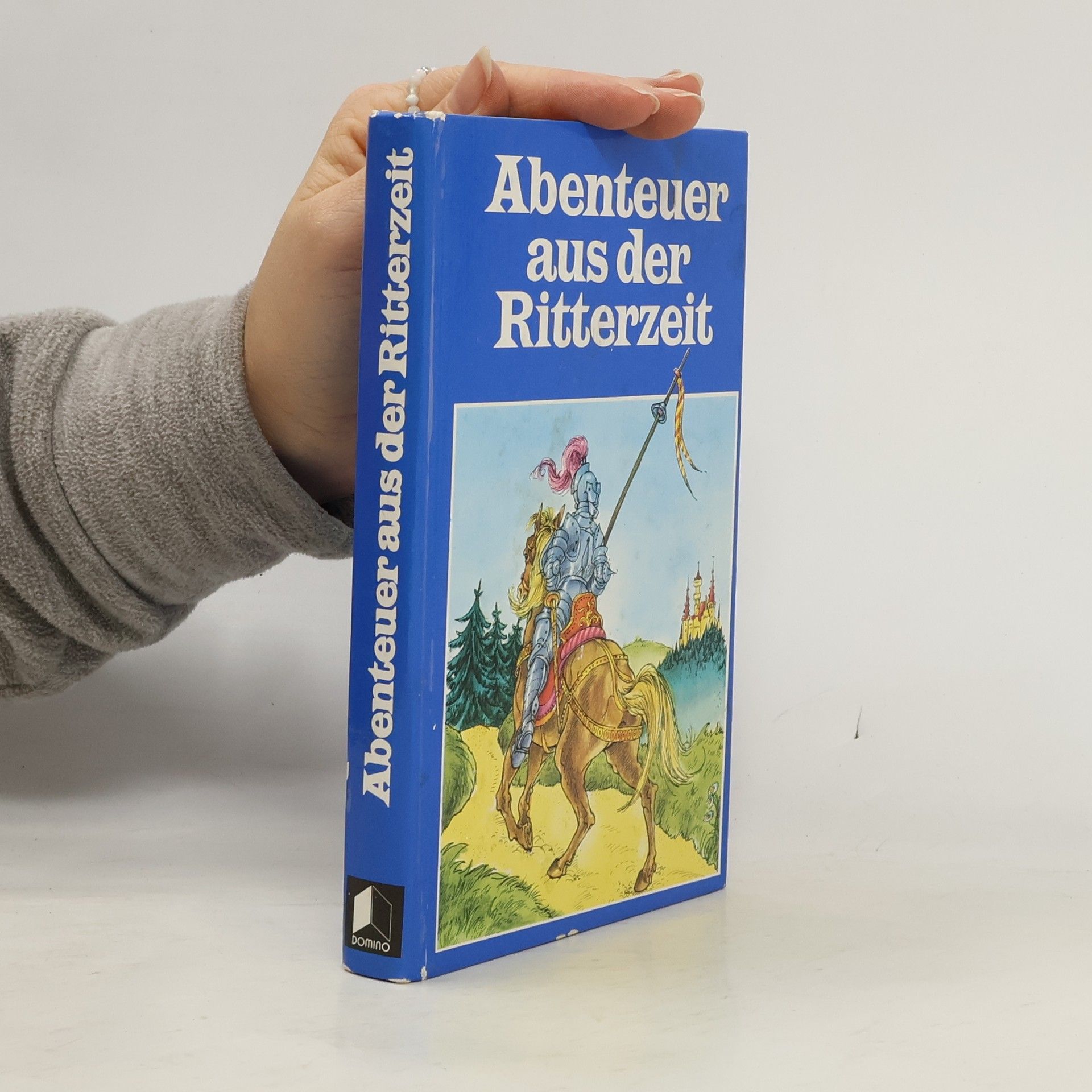 Auteurscollectief Abenteuer aus der Ritterzeit