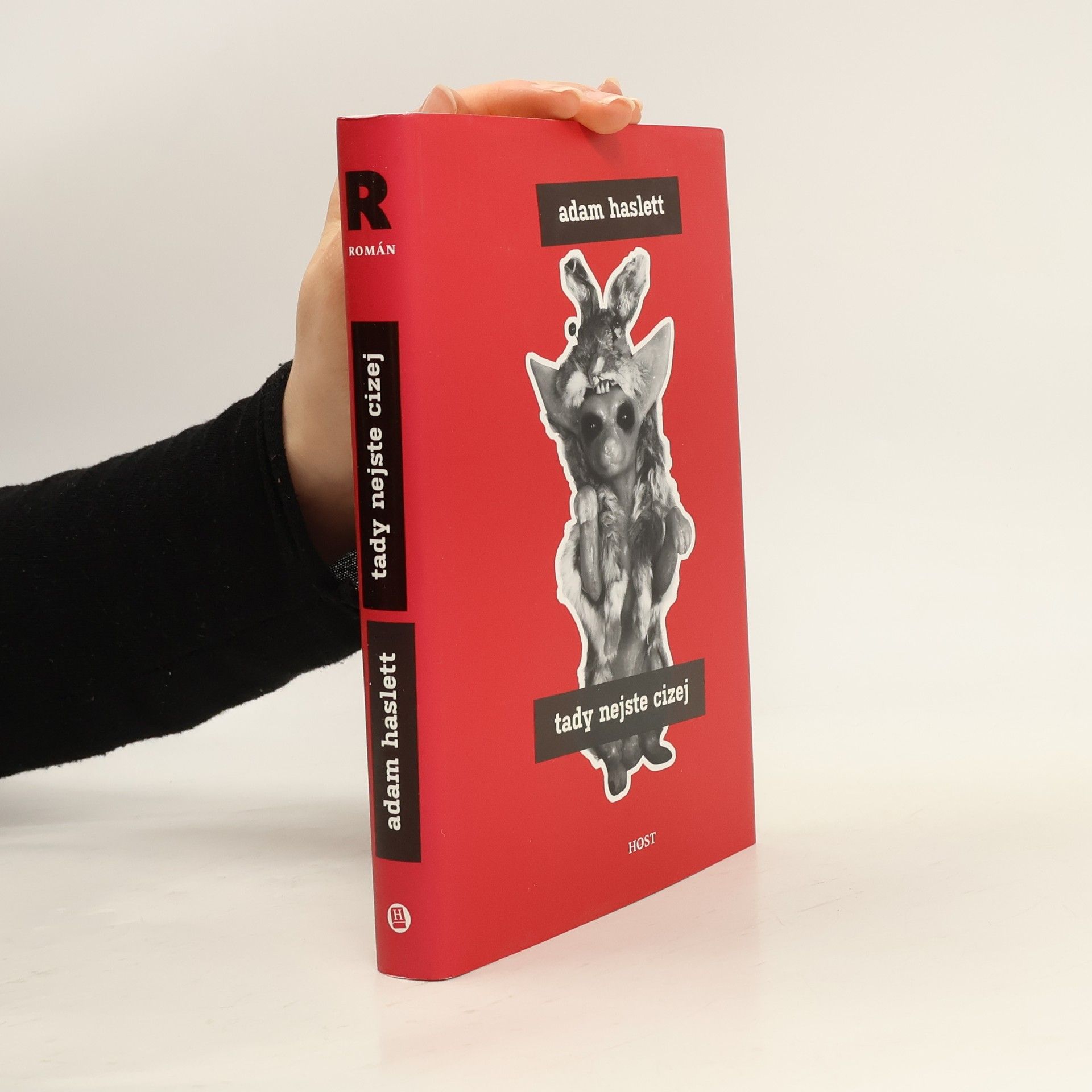 Adam Haslett Tady nejste cizej