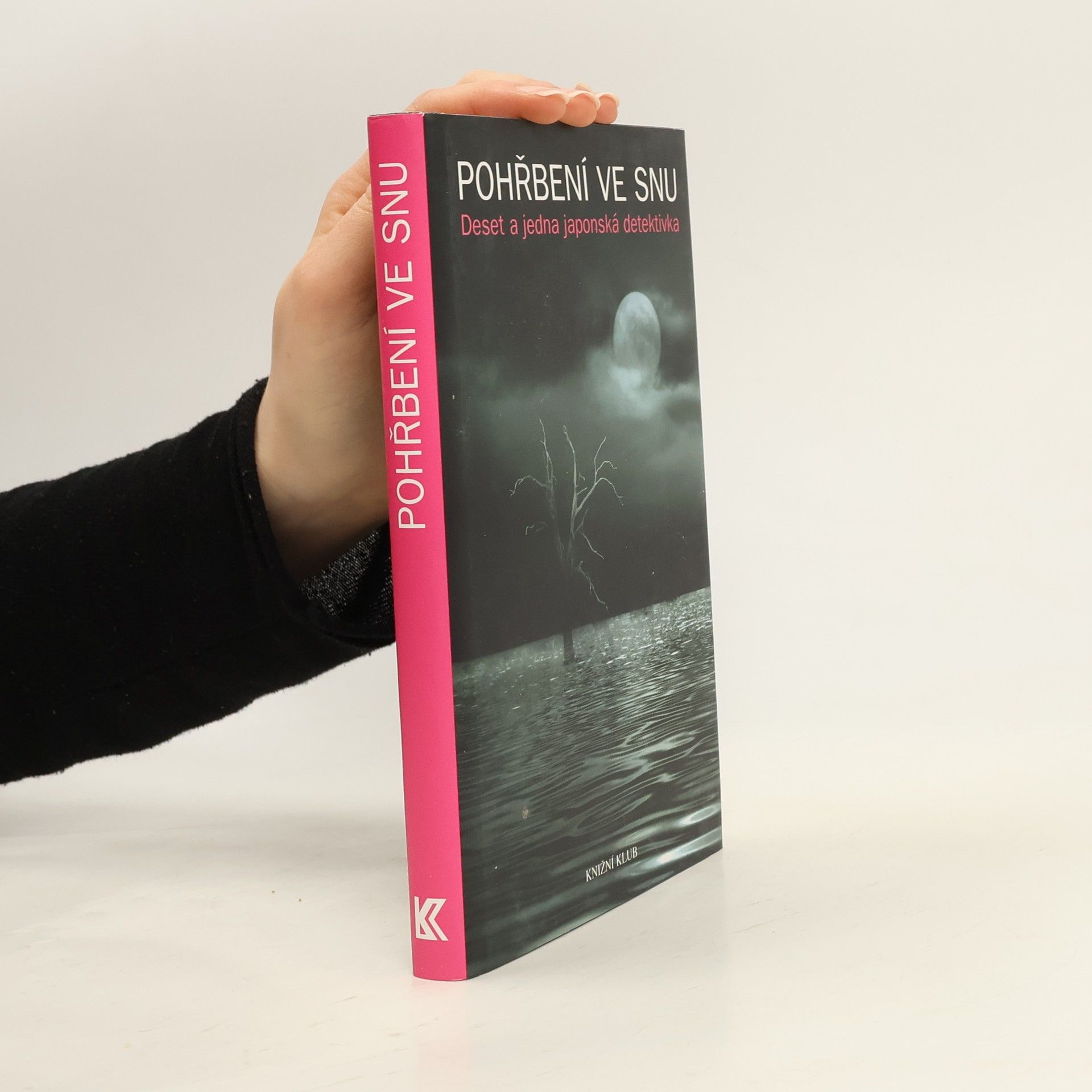 Pohřbení ve snu: Deset a jedna japonská detektivka