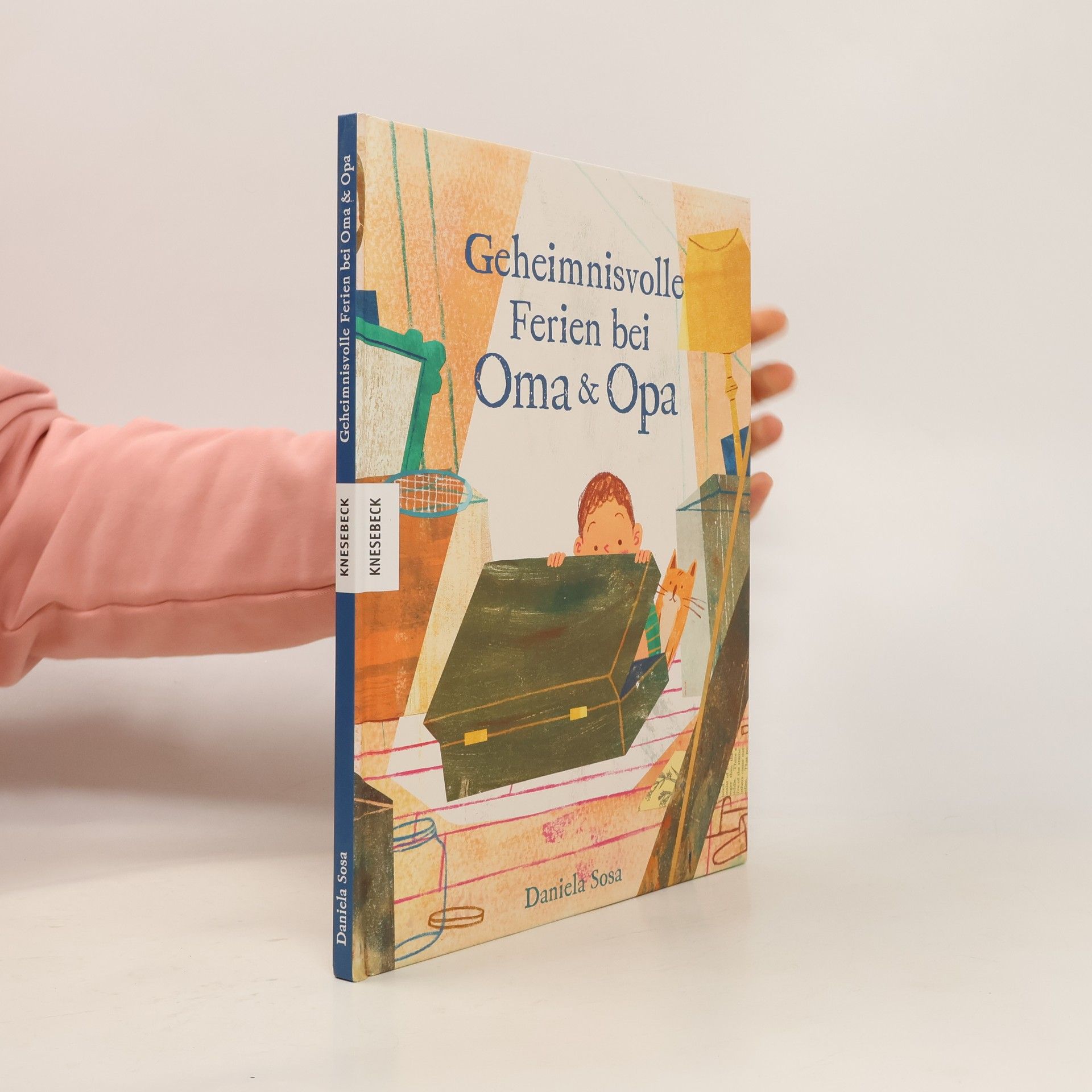 Daniela Sosa Geheimnisvolle Ferien bei Oma und Opa