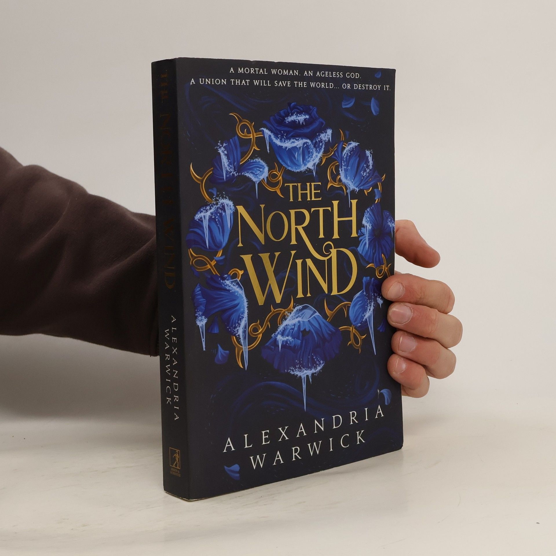 The North Wind: The TikTok sensation! An enthralling enemies-to-lovers romantasy, the first in the Four Winds series