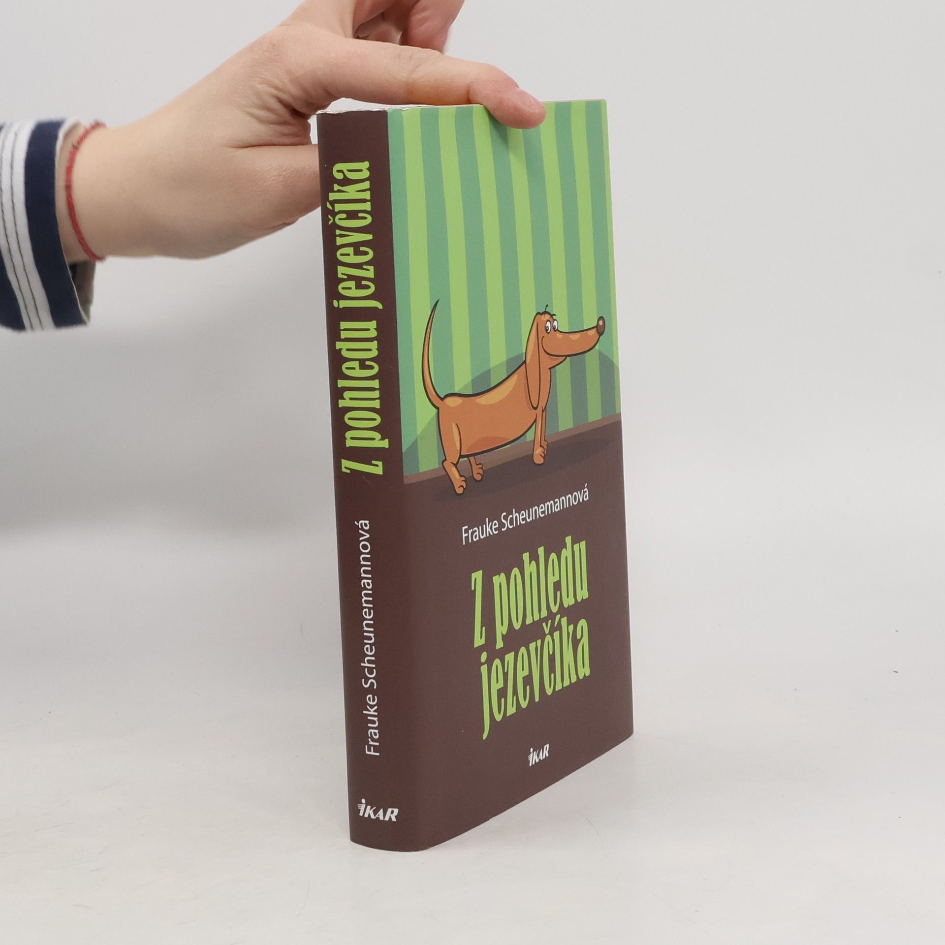 Z pohledu jezevčíka