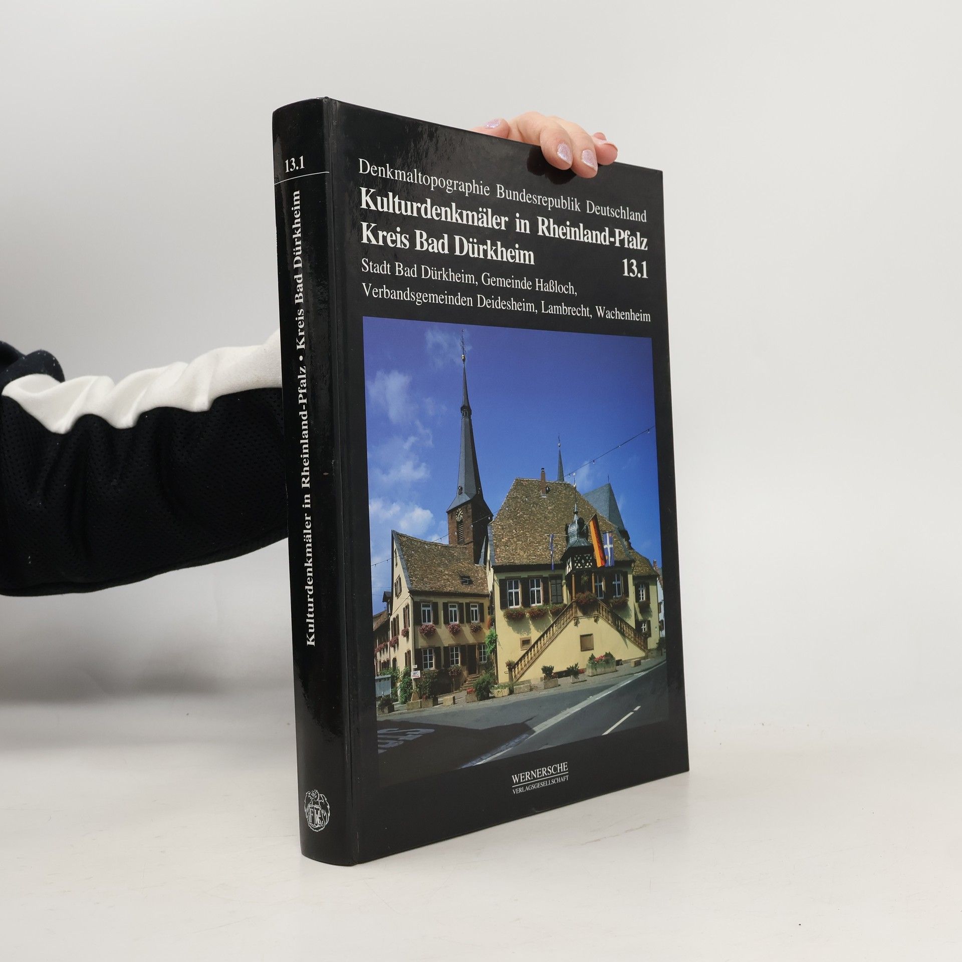 Autores varios Kulturdenkmäler in Rheinland-Pfalz 13.1