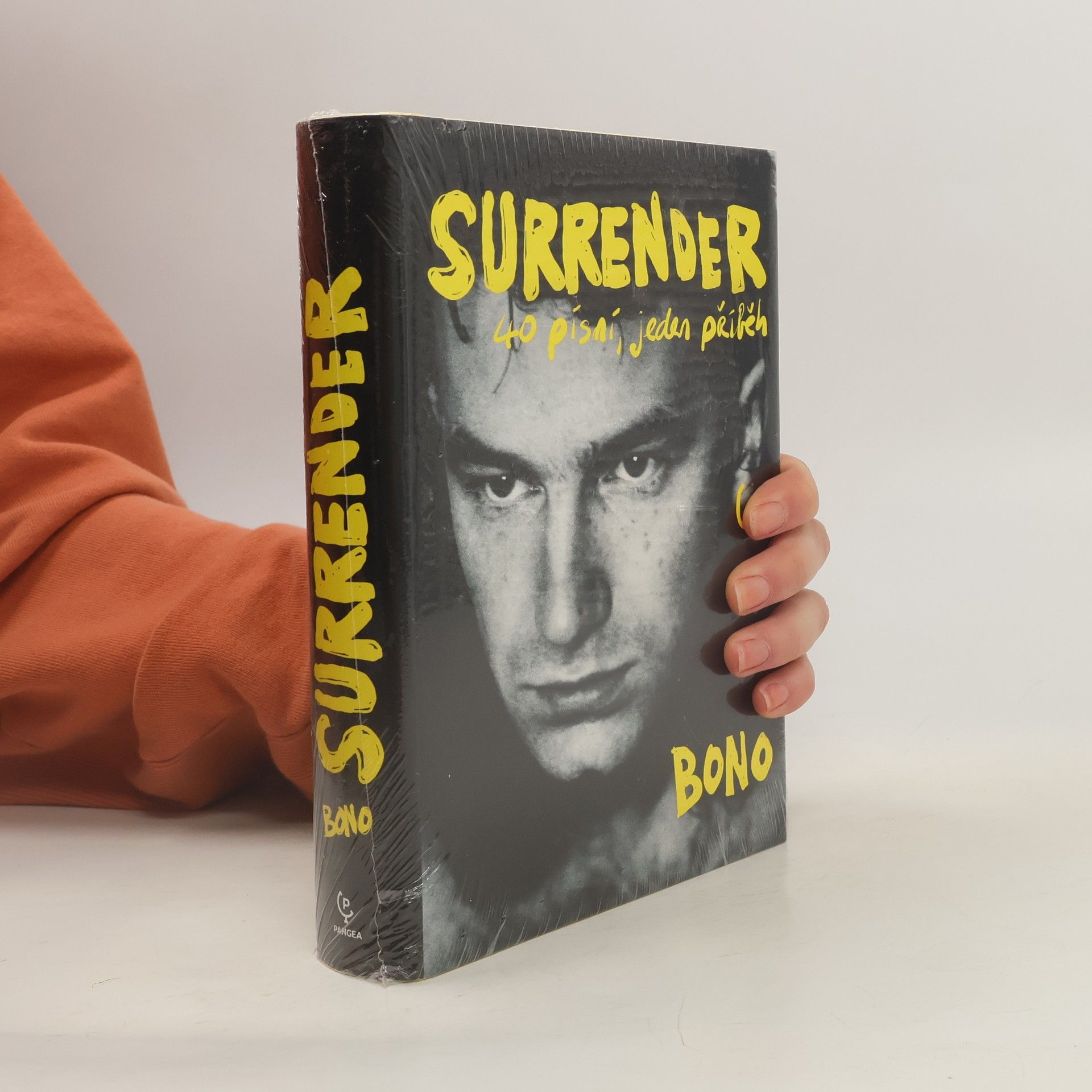 Surrender : 40 písní, jeden příběh