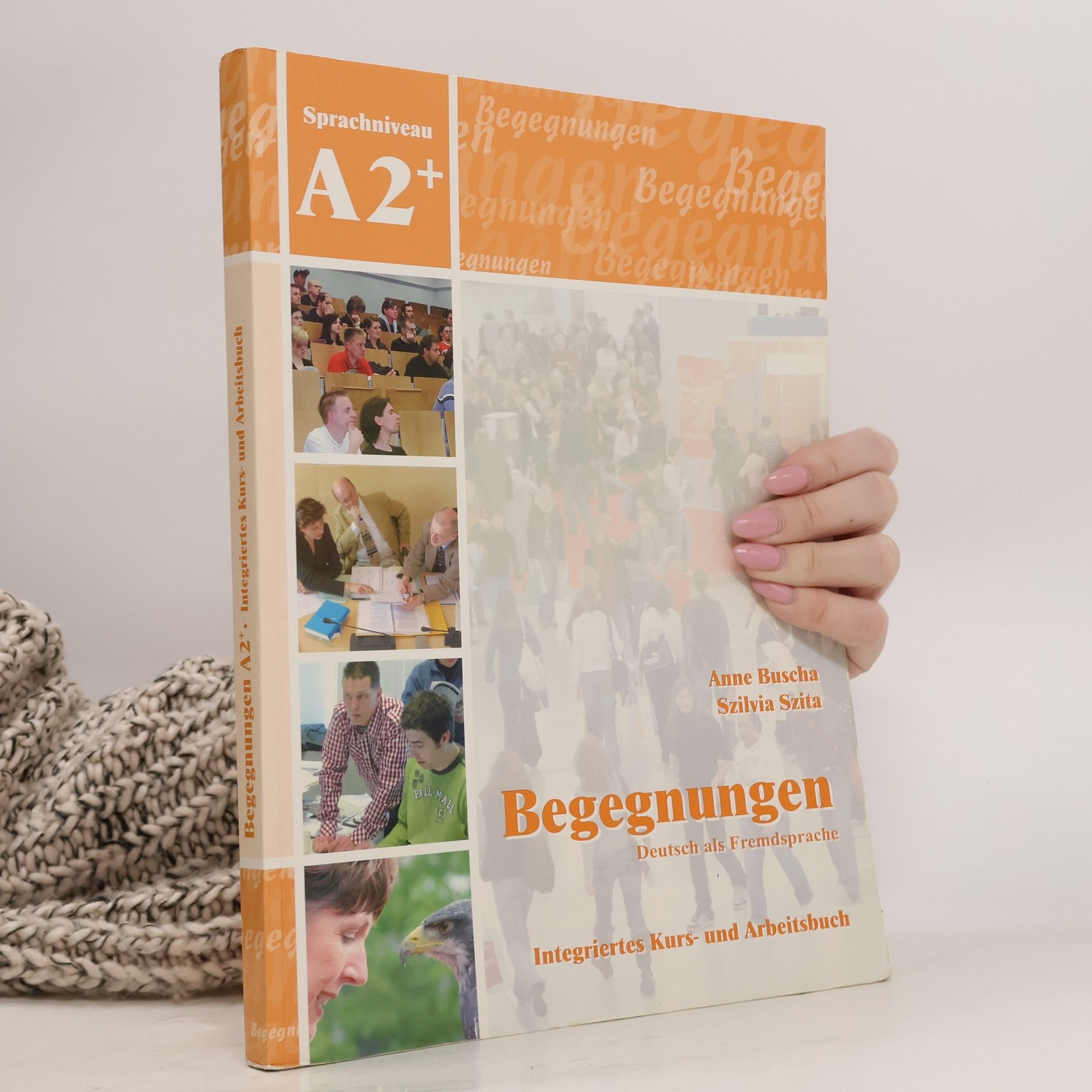 Begegnungen. Sprachniveau A2+, Integriertes Kurs- und Arbeitsbuch