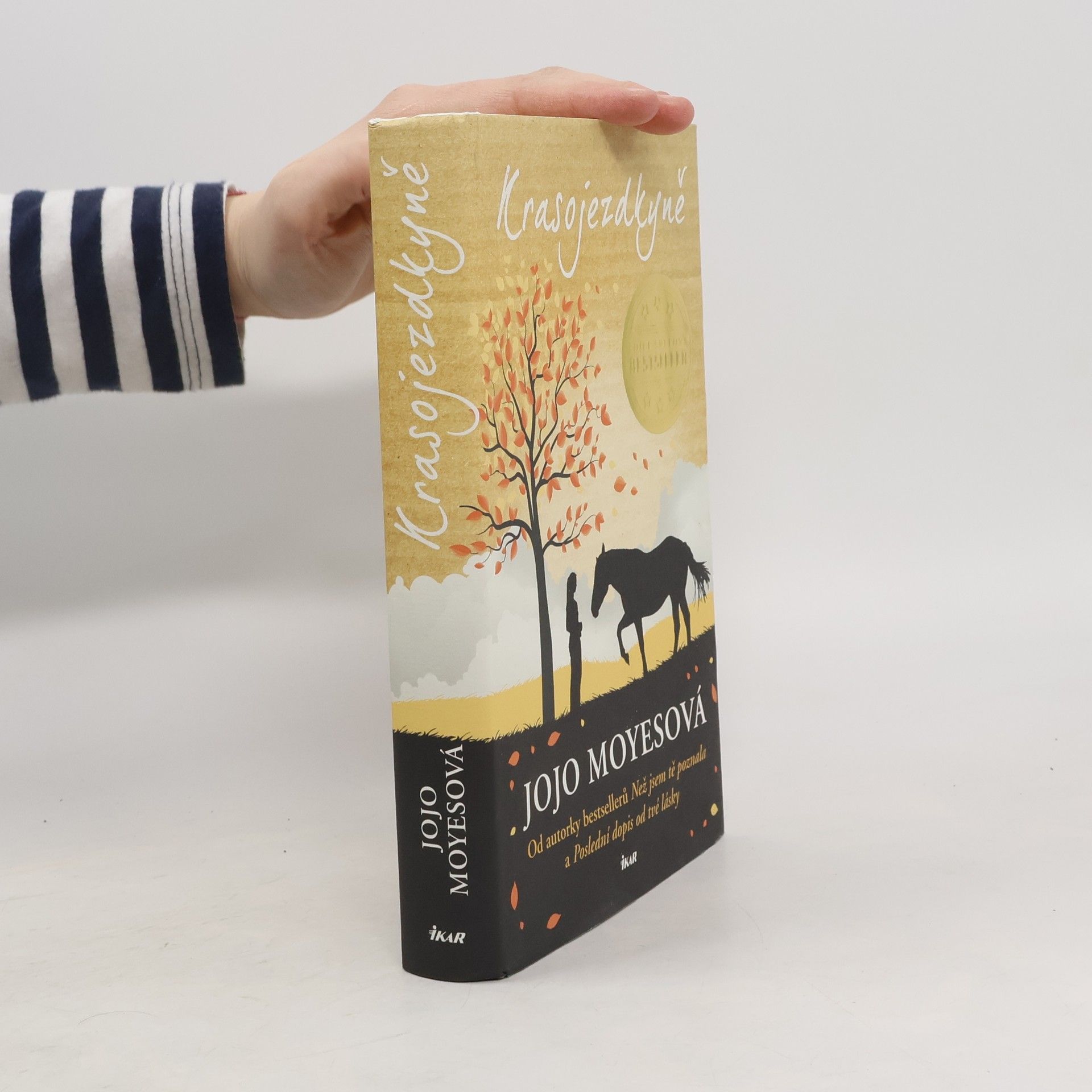 Jojo Moyesová Krasojezdkyně