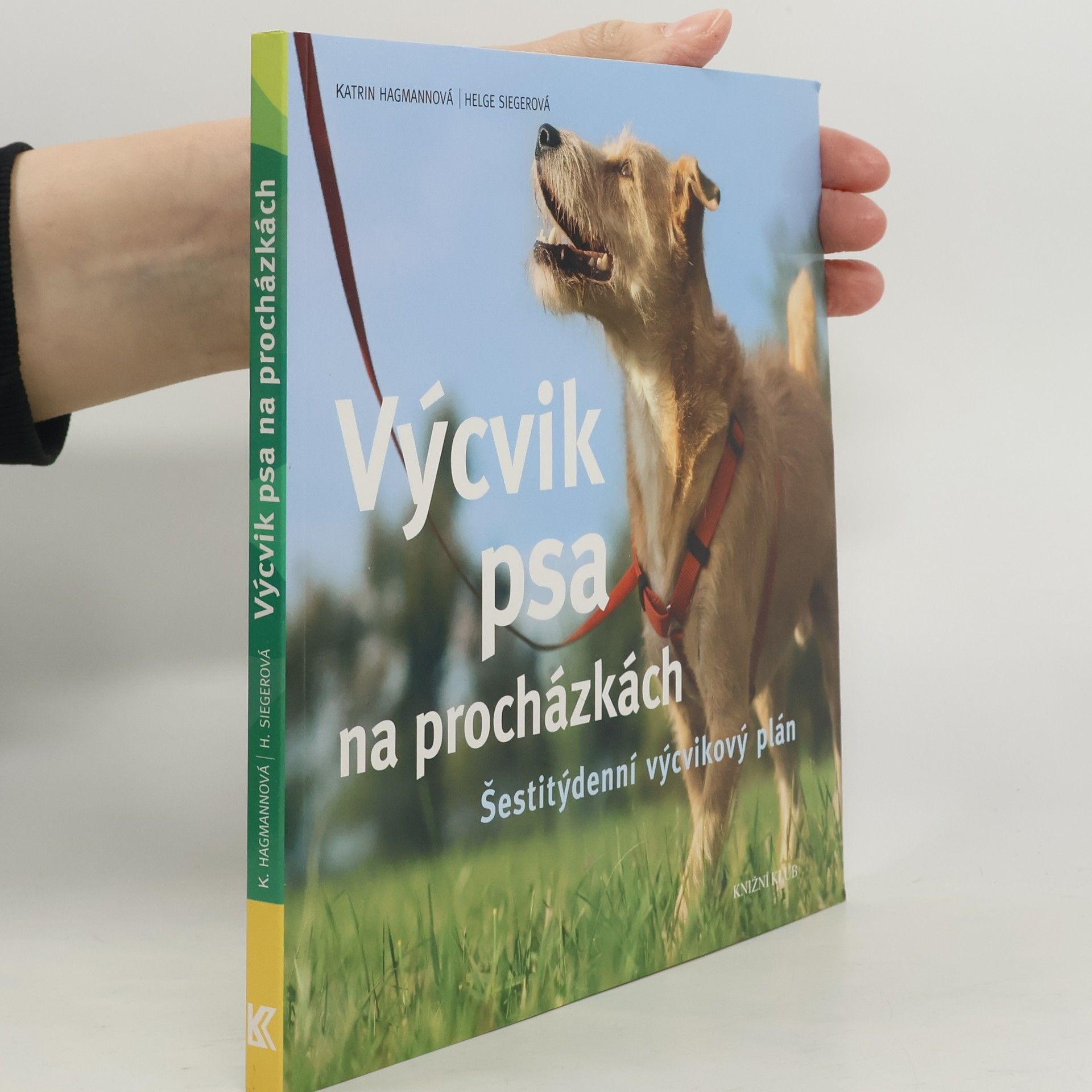 Výcvik psa na procházkách