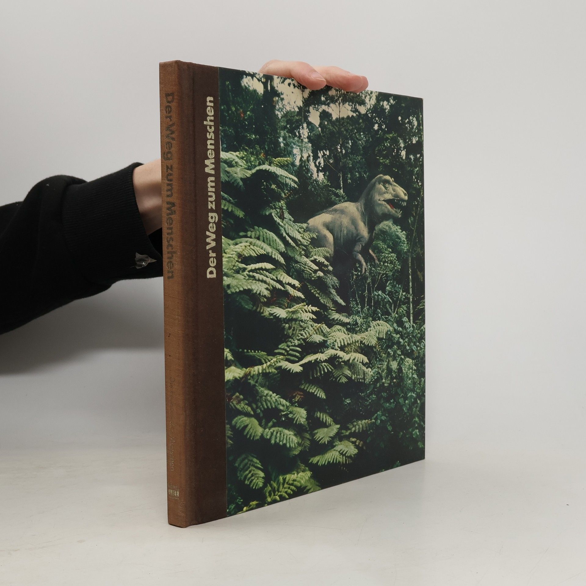 Kolektív autorov Der Weg zum Menschen