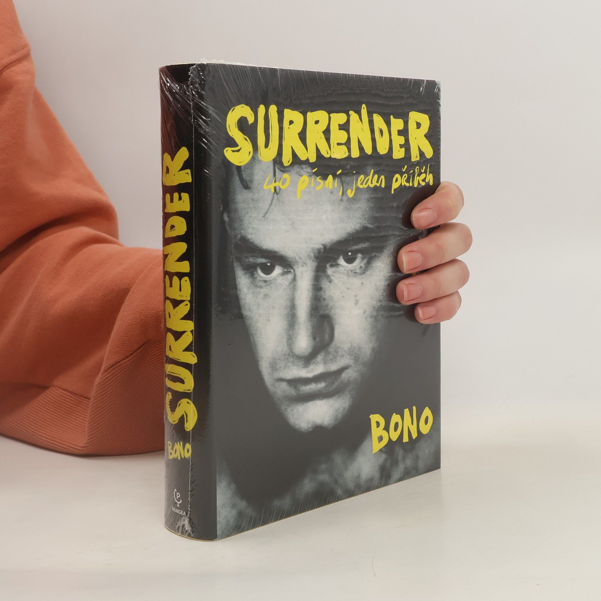 Bono Surrender : 40 písní, jeden příběh