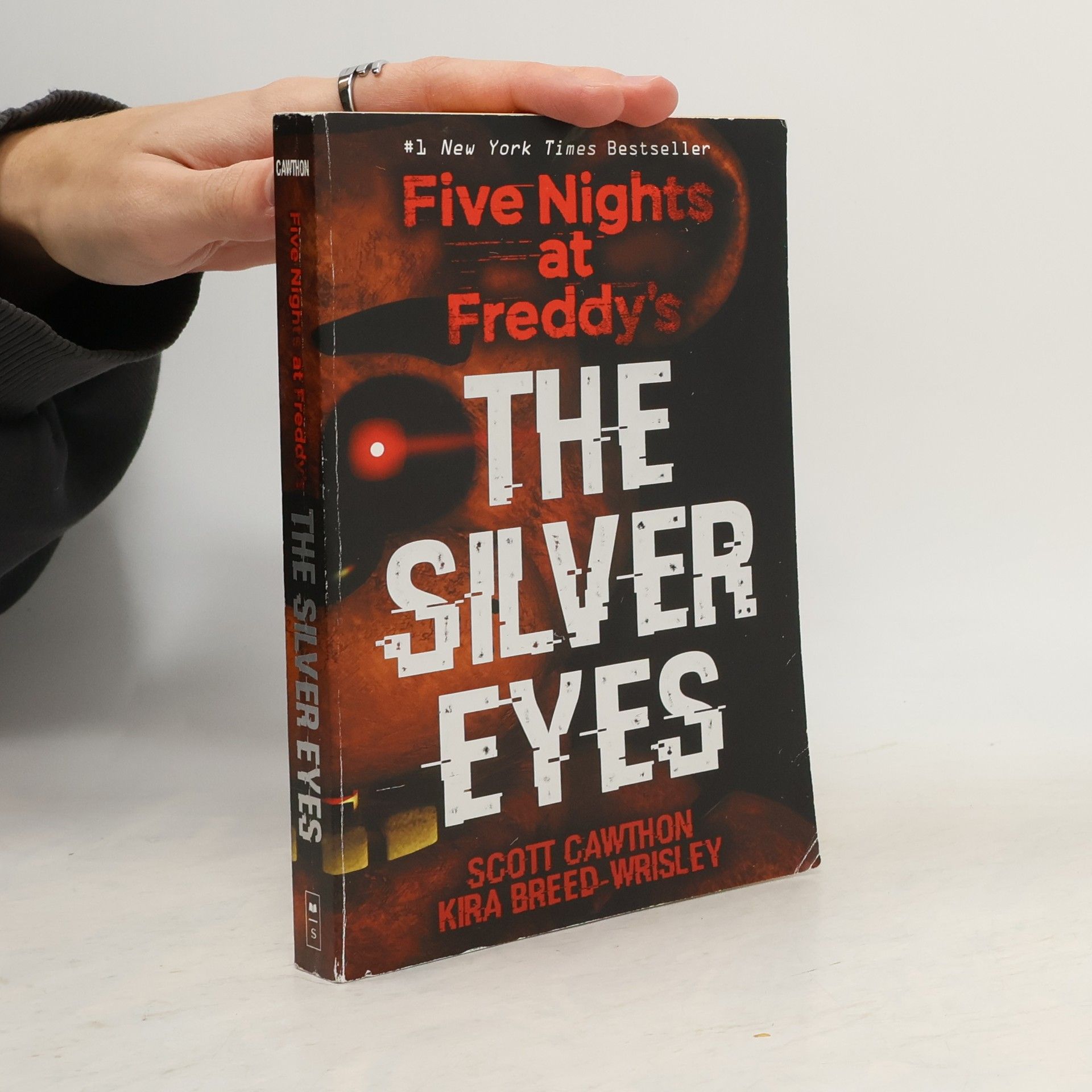 Five Nights at Fraddy's : The Silver Eyes