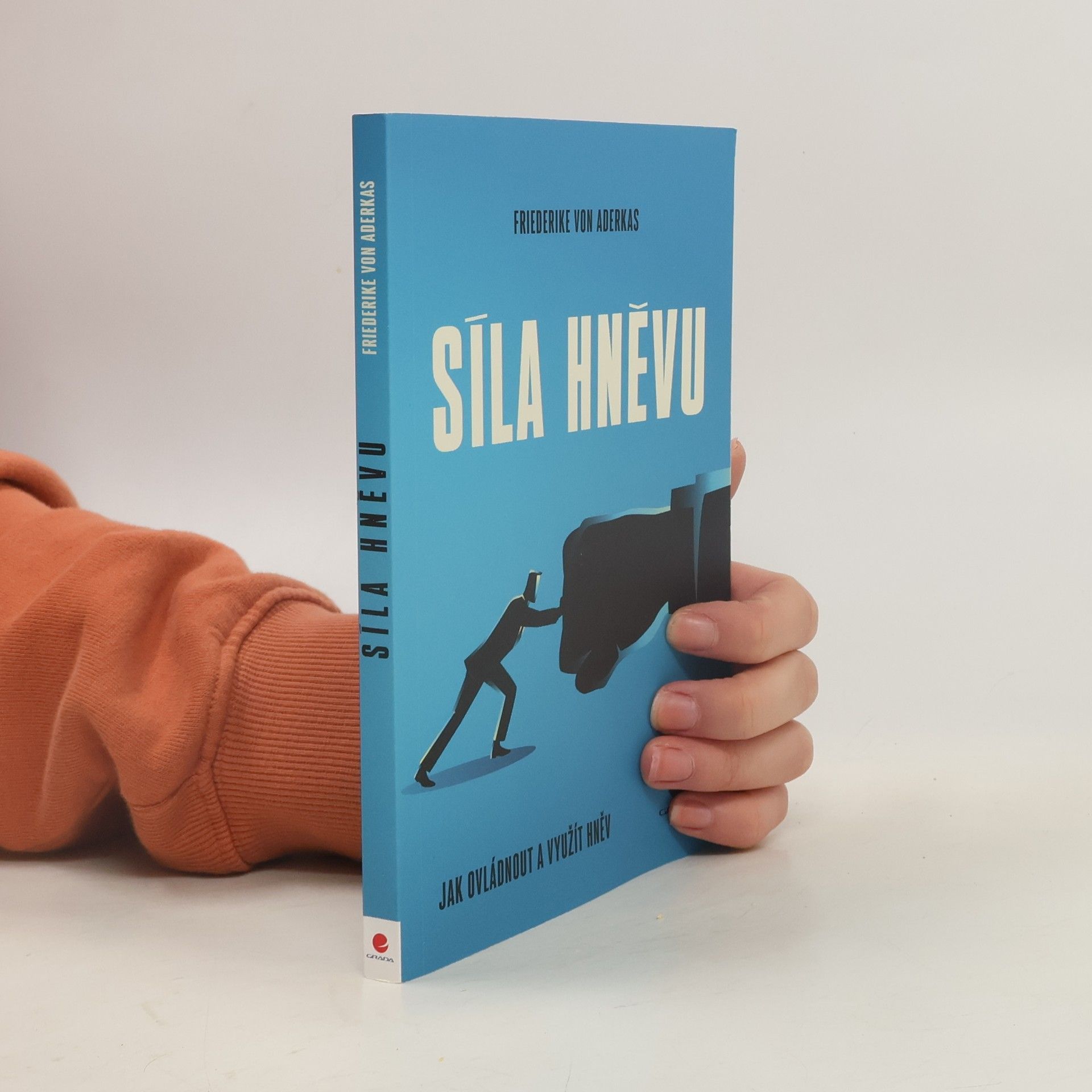 Síla hněvu : jak ovládnout a využít hněv