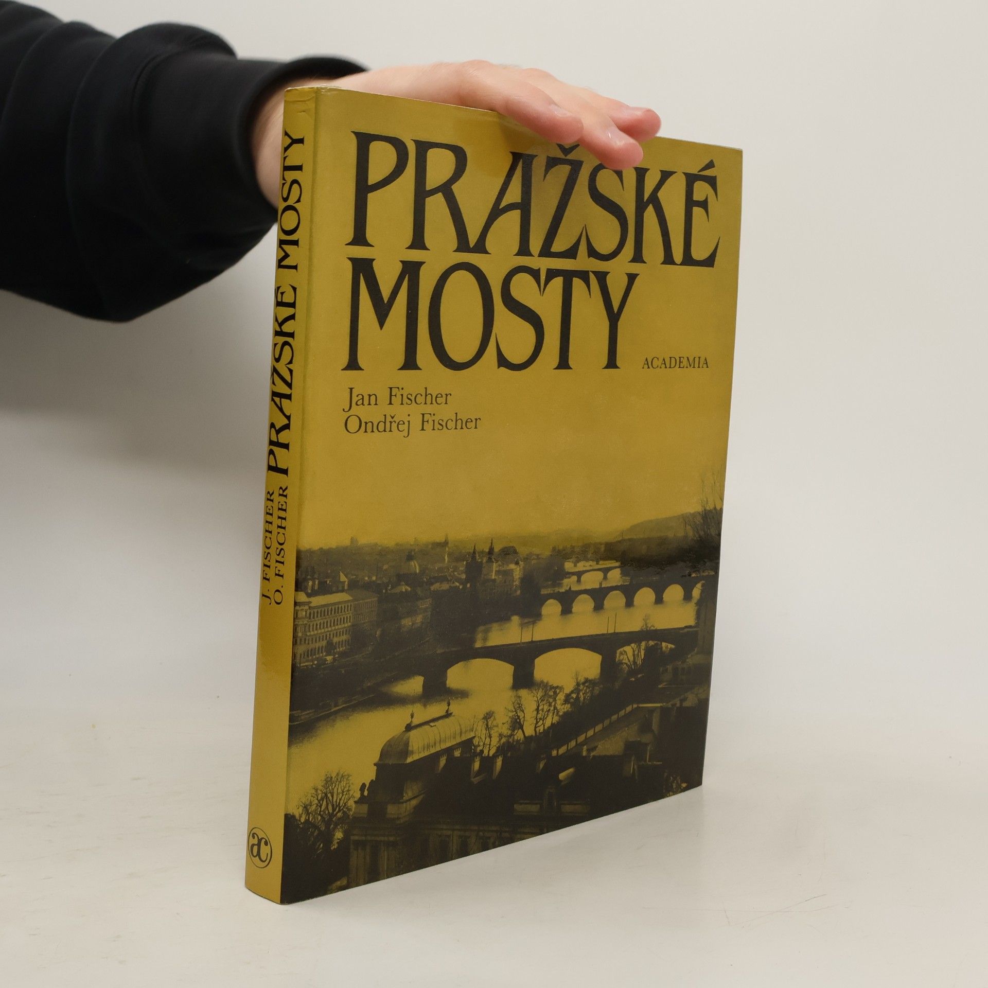 Ondřej Fischer Pražské mosty