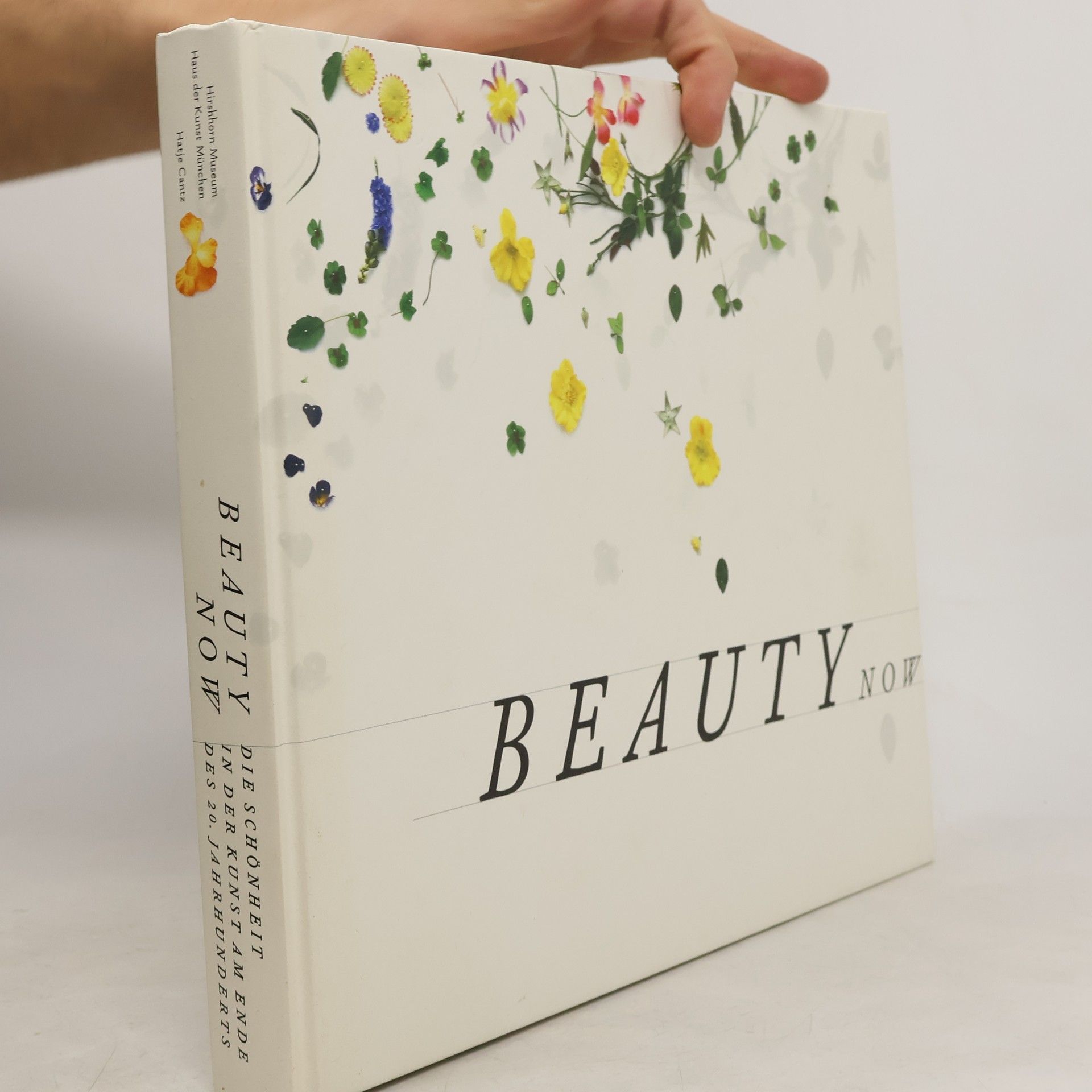 Beauty now - die Schönheit in der Kunst am Ende des 20. Jahrhunderts