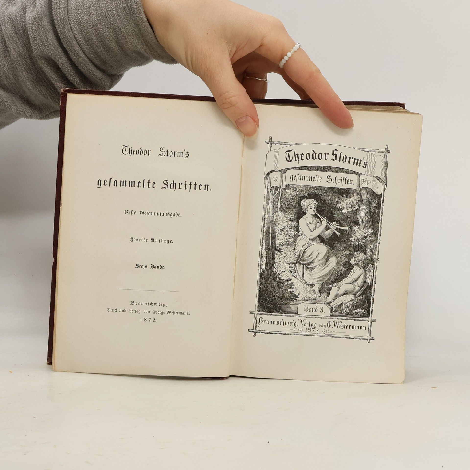 Theodor Storm Theodor Storm’s gesammelte Schriften. Erste Gesamtausgabe. Zweite Auflage. Sechs Bände