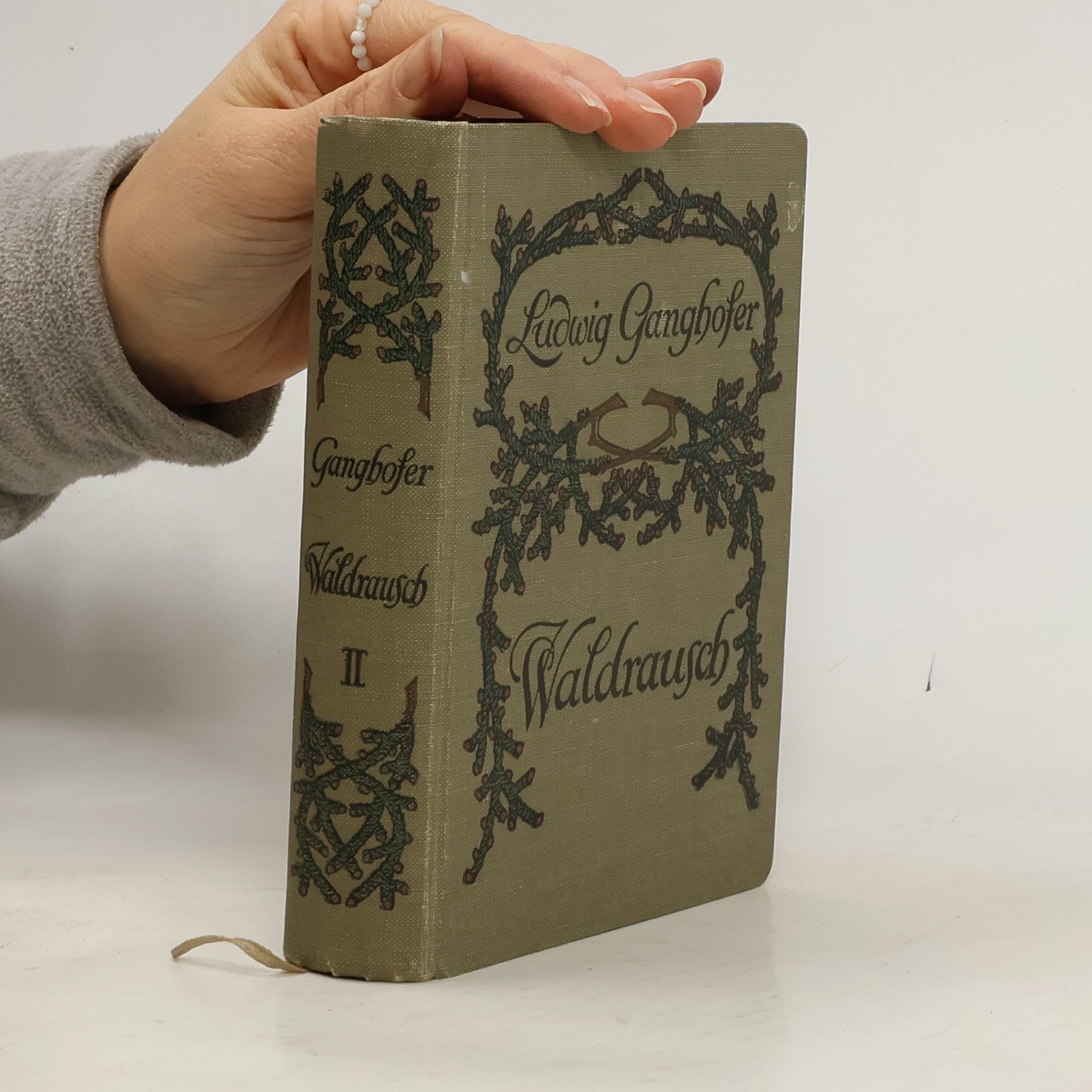 Ludwig Ganghofer Waldrausch II.