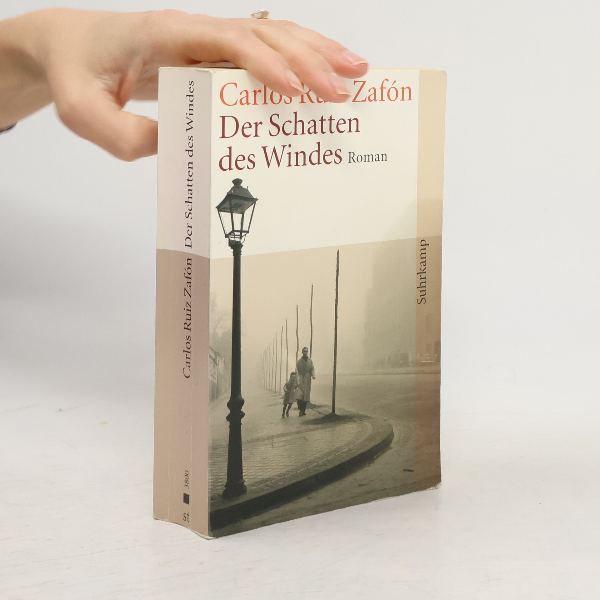 Carlos Ruiz Zafón Der Schatten des Windes