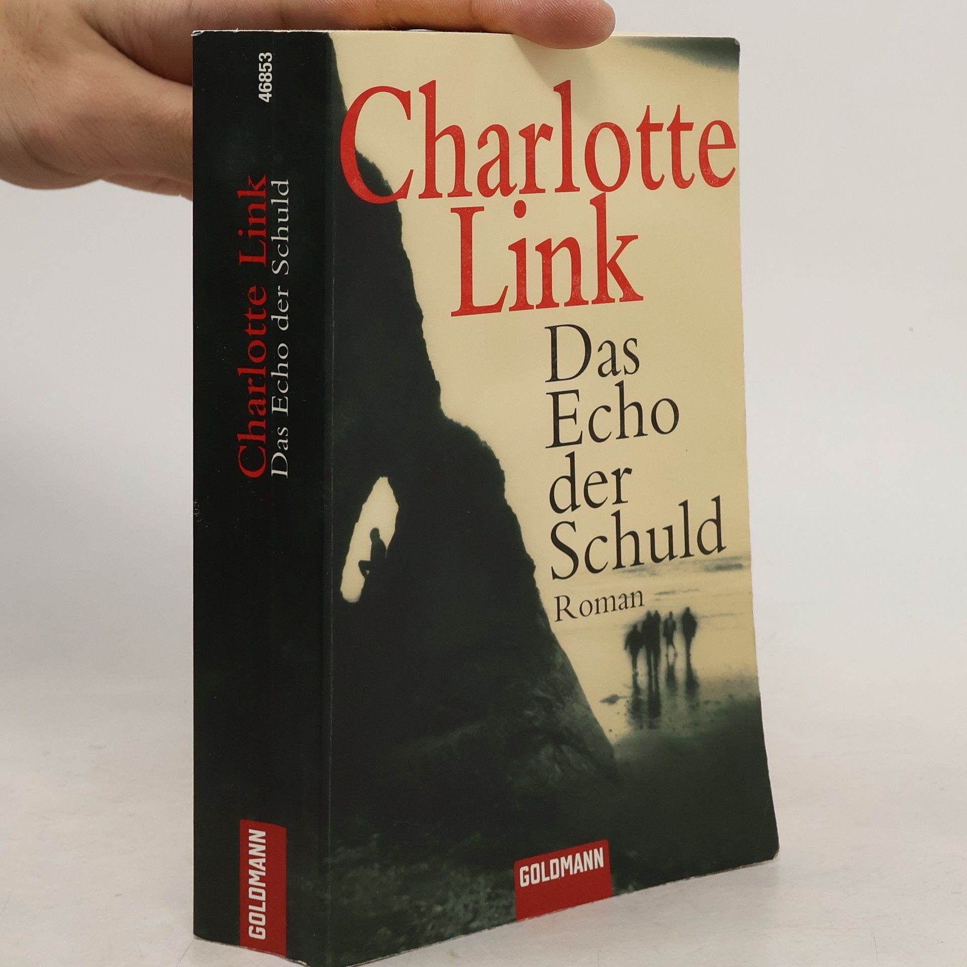 Charlotte Link Das Echo der Schuld