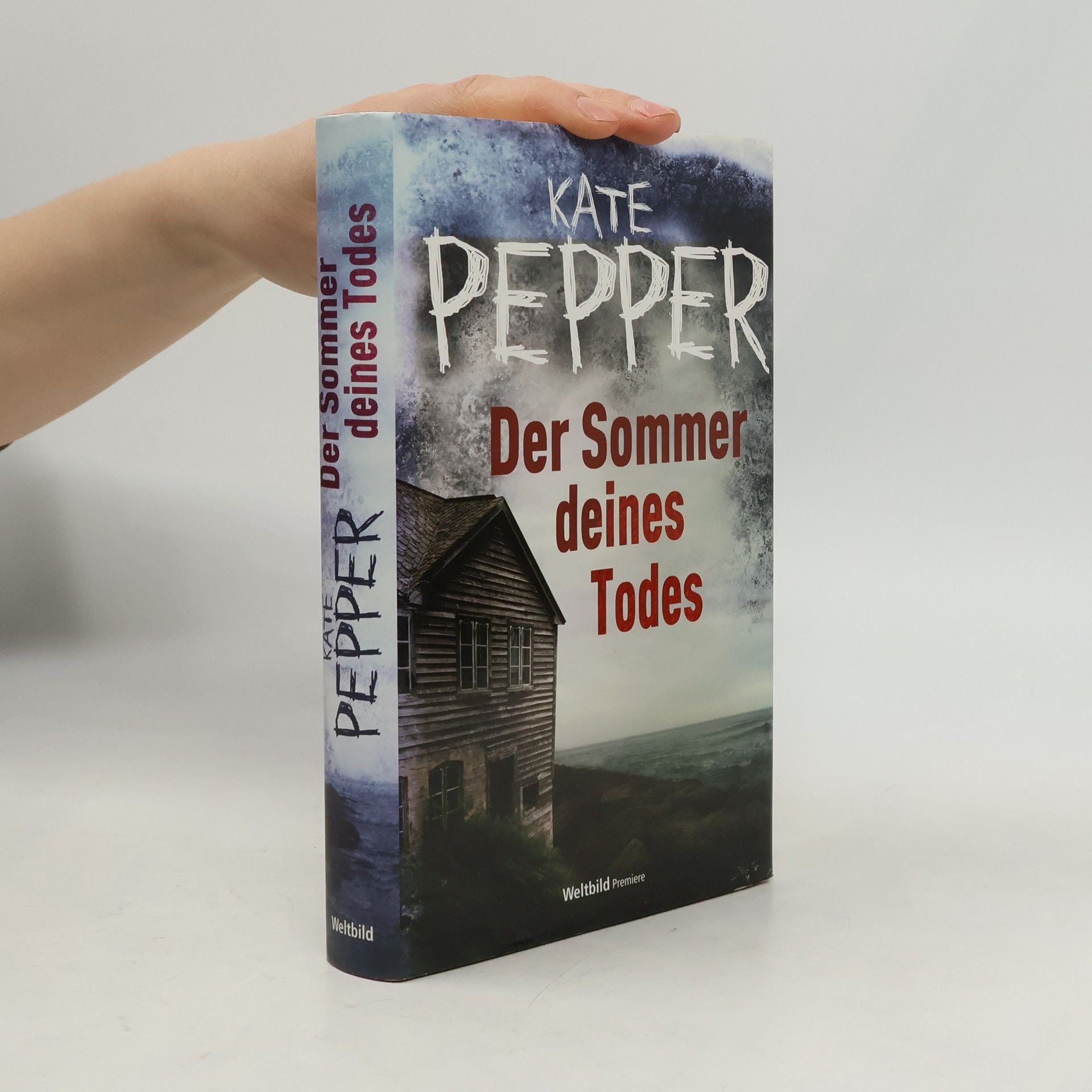 Der Sommer deines Todes