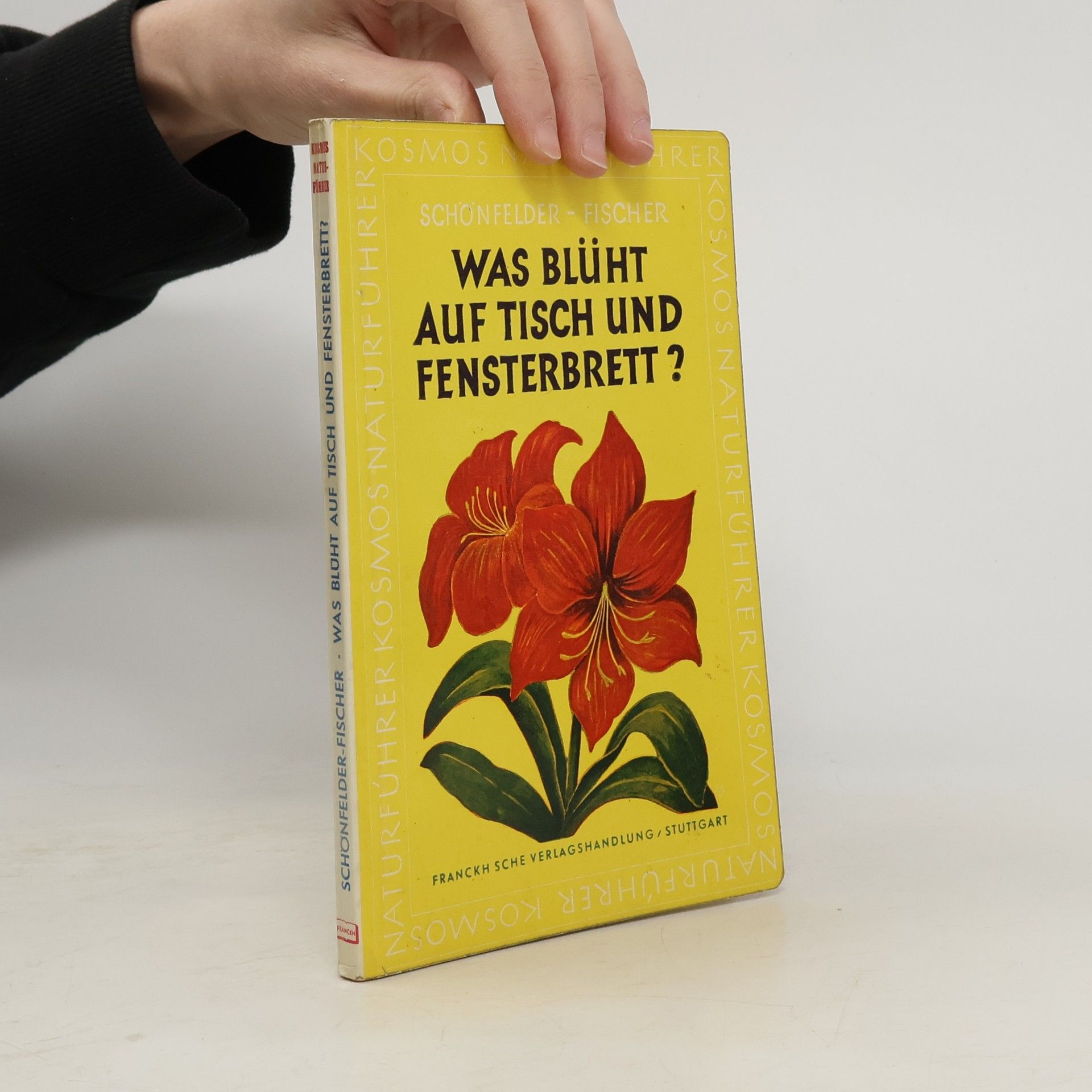 AA.VV. Was blüht auf Tisch und Fensterbrett?