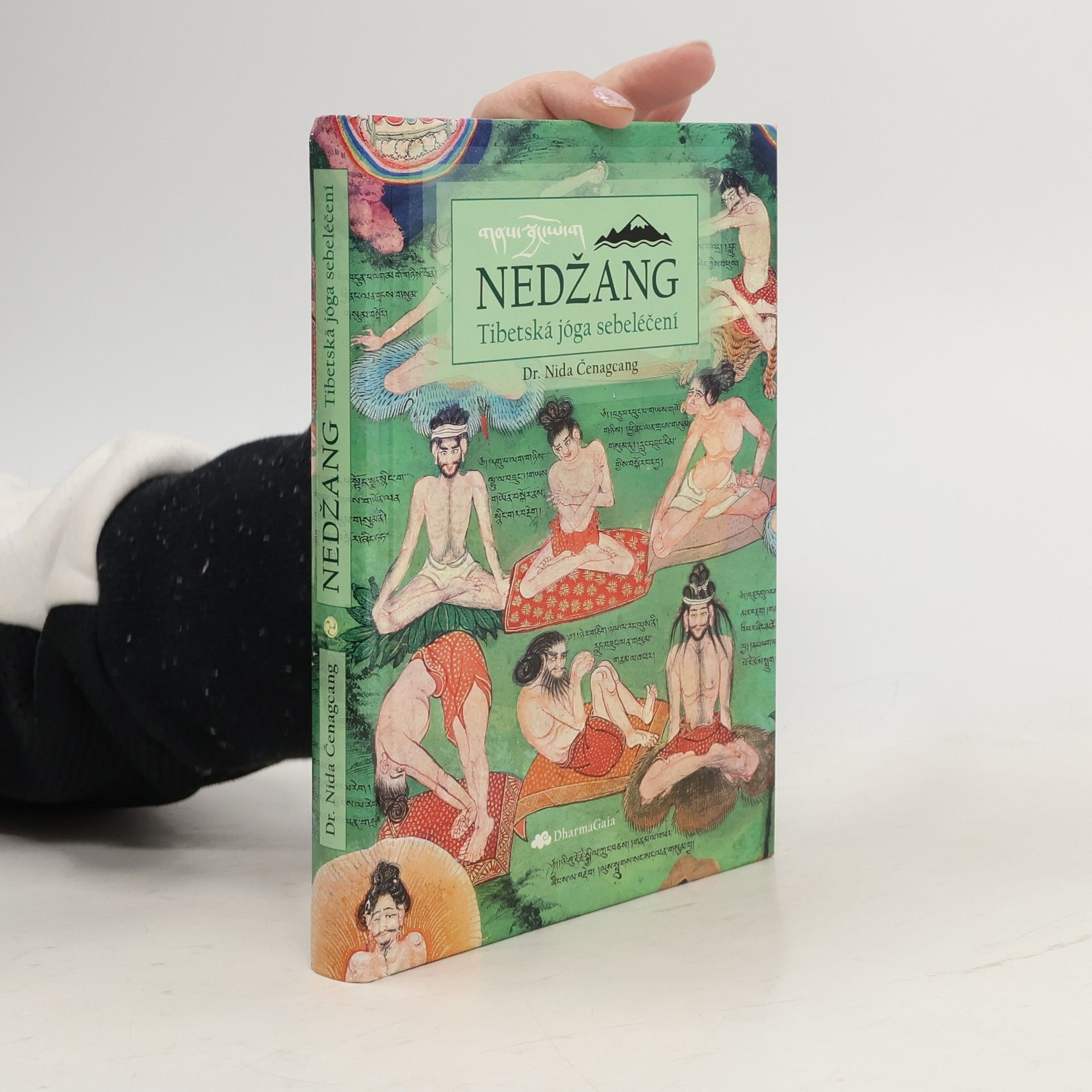 Nedžang. Tibetská jóga sebeléčení