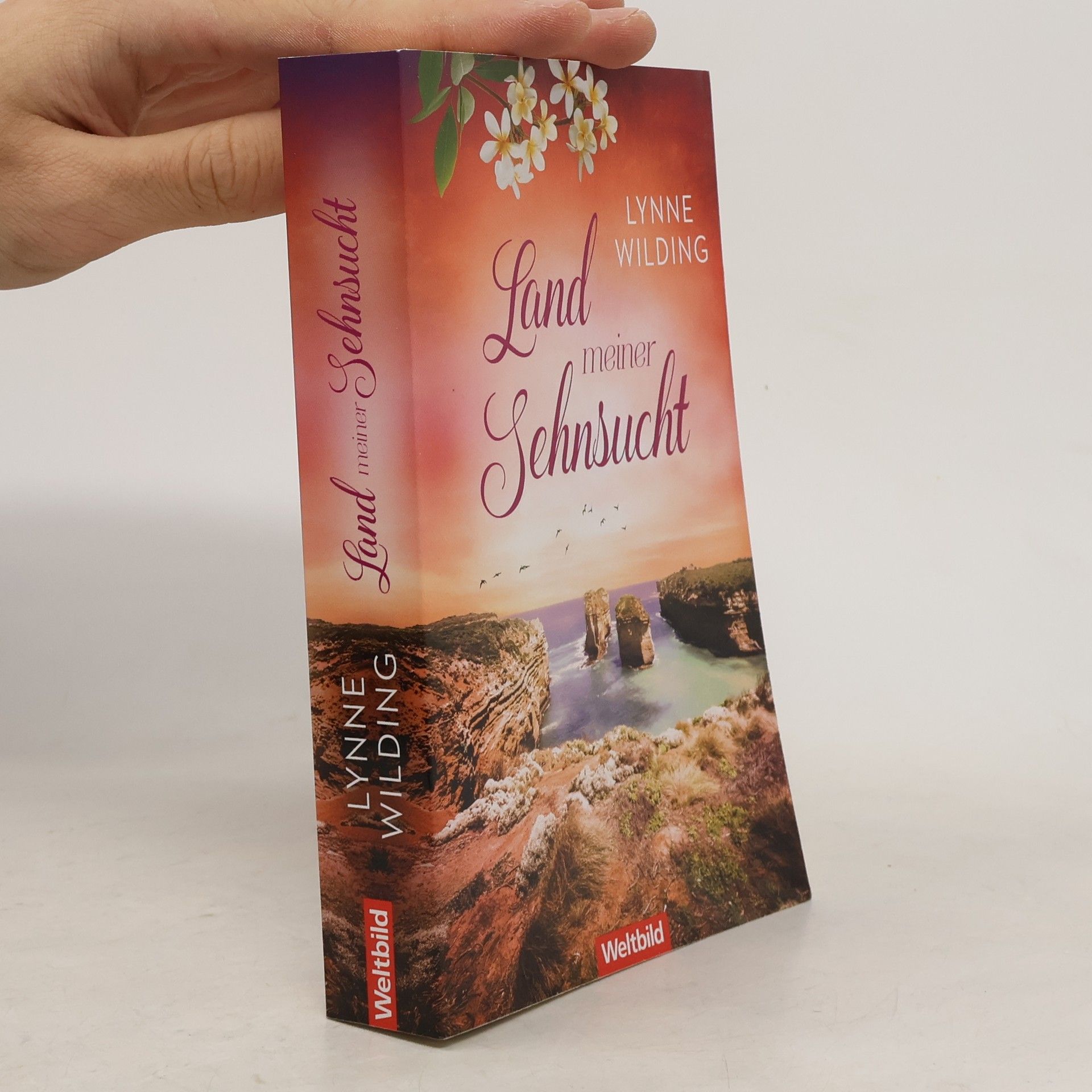 Lynne Wilding Sterne über rotem Land