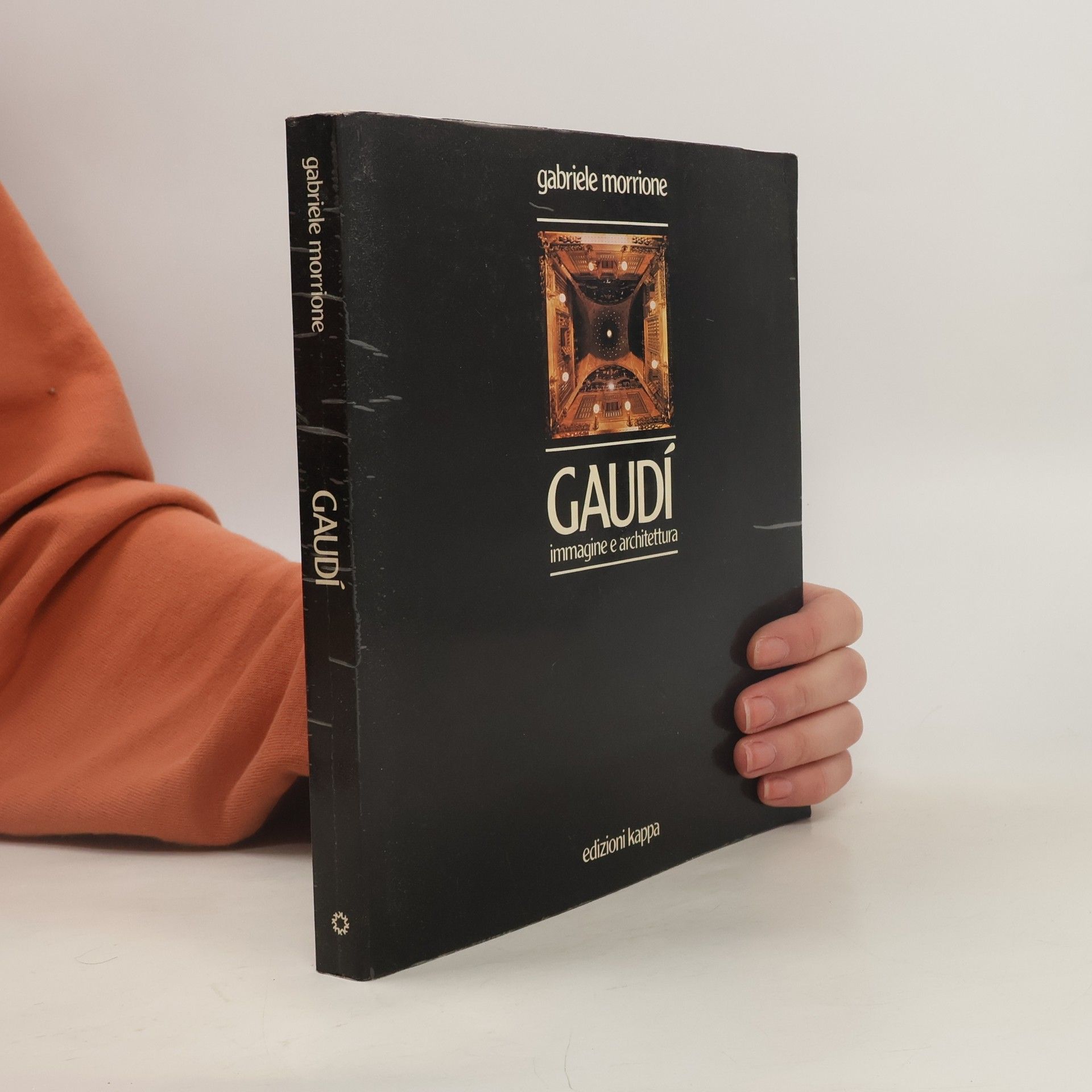 Gabriele Morrione Gaudí, immagine e architettura