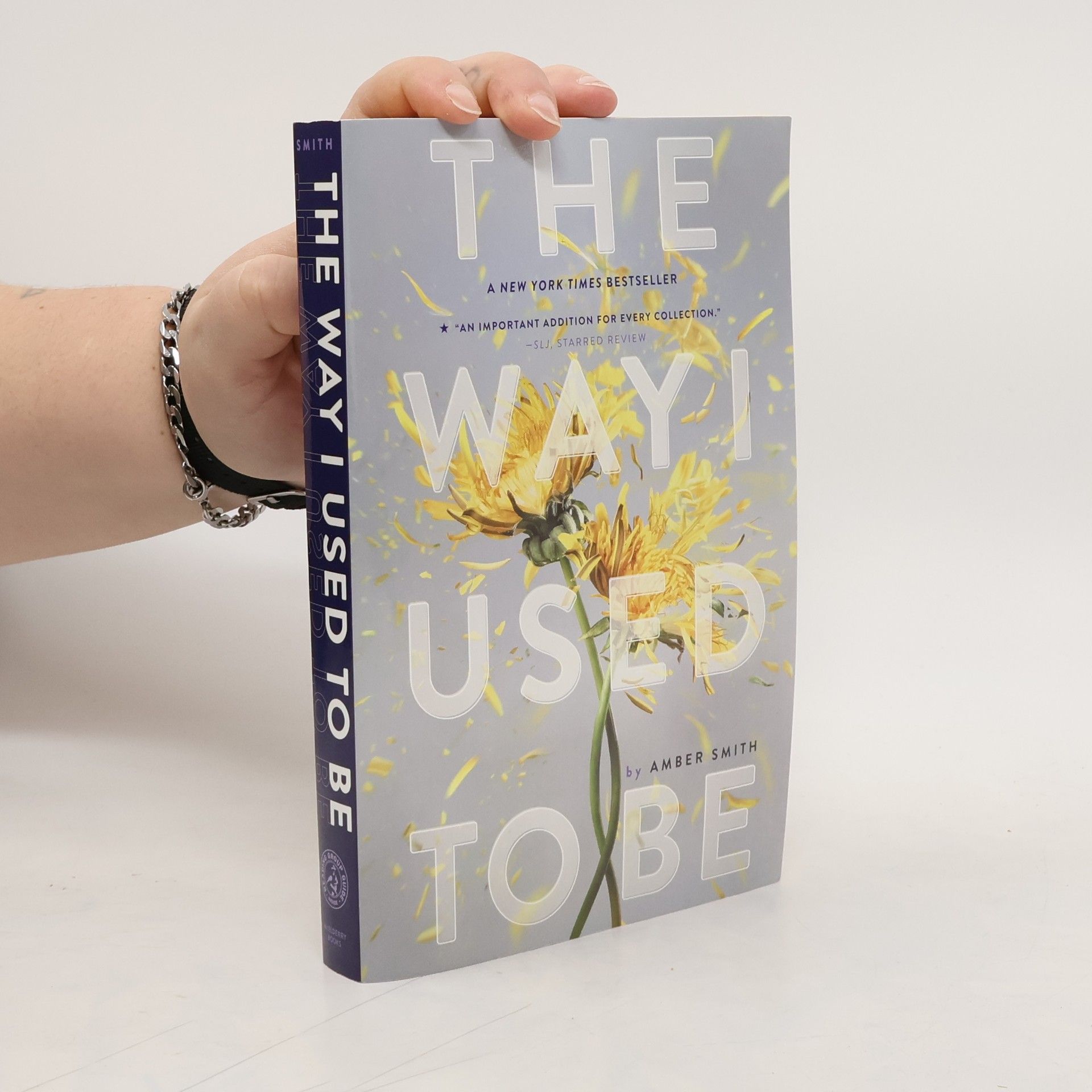 Amber Smith The Way I Used to Be