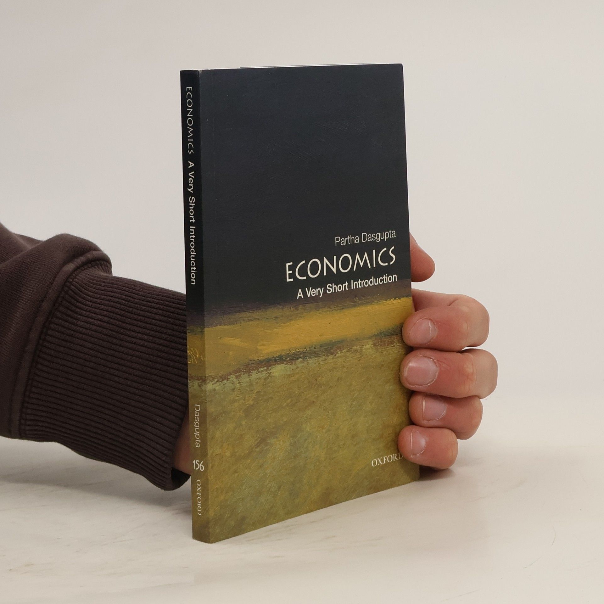 Economics a very short introduction