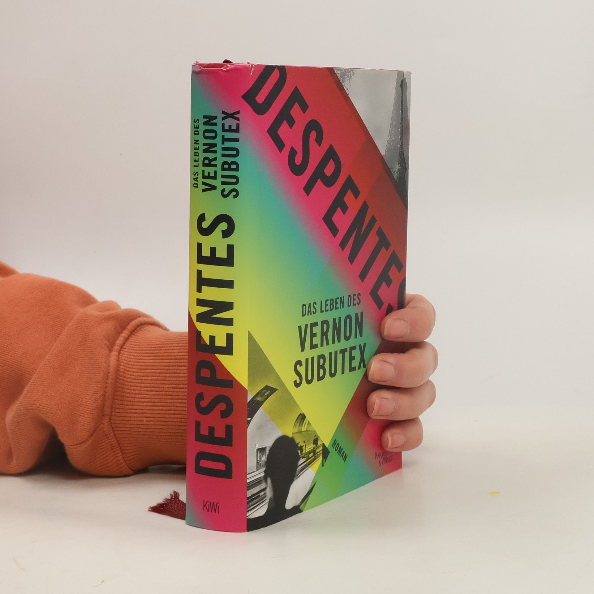 Virginie Despentes Das Leben des Vernon Subutex 1