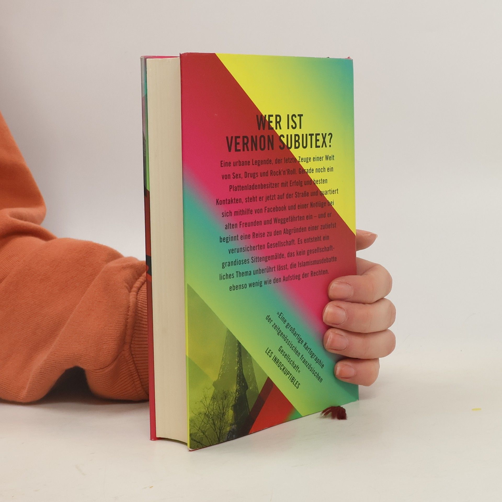 Virginie Despentes Das Leben des Vernon Subutex 1