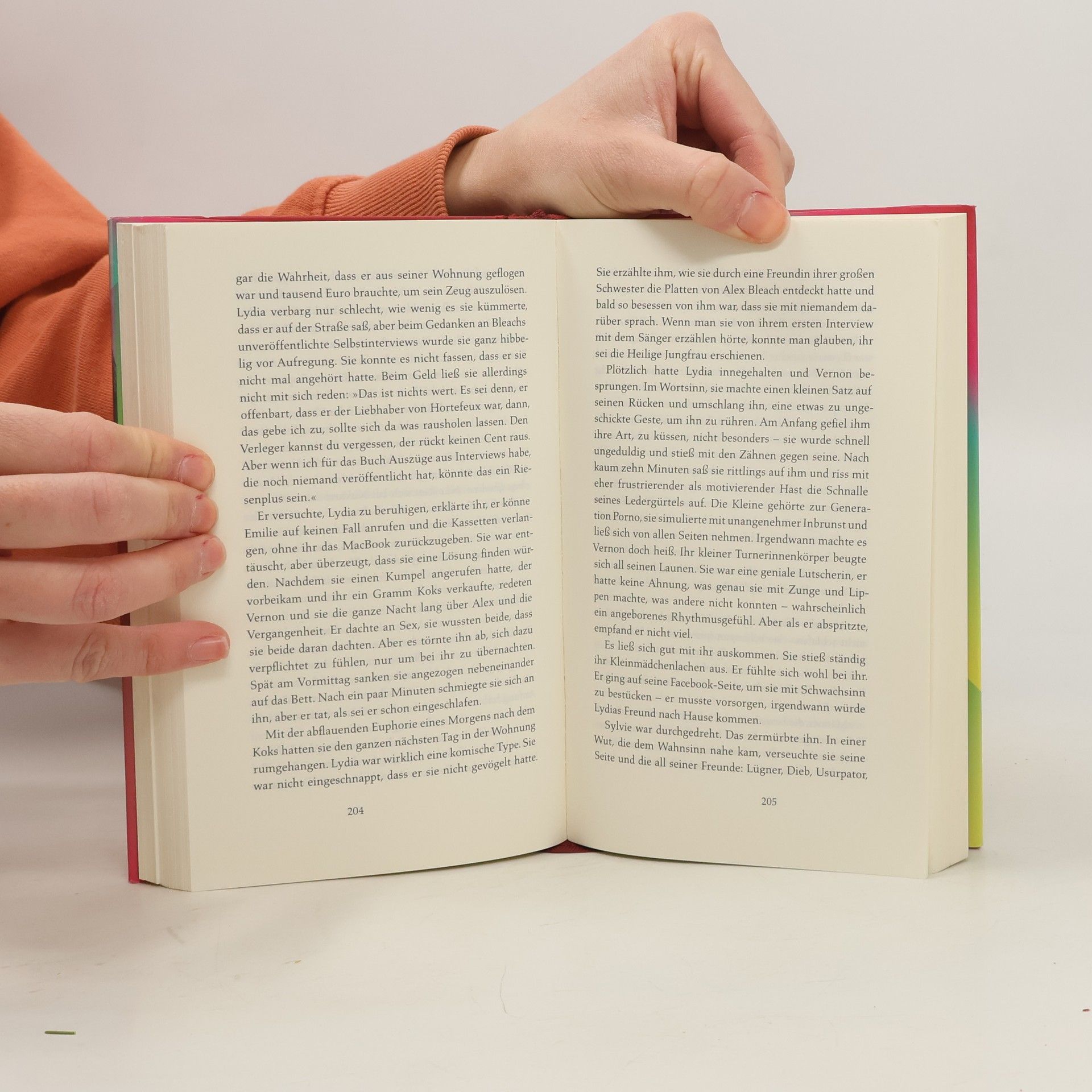Virginie Despentes Das Leben des Vernon Subutex 1