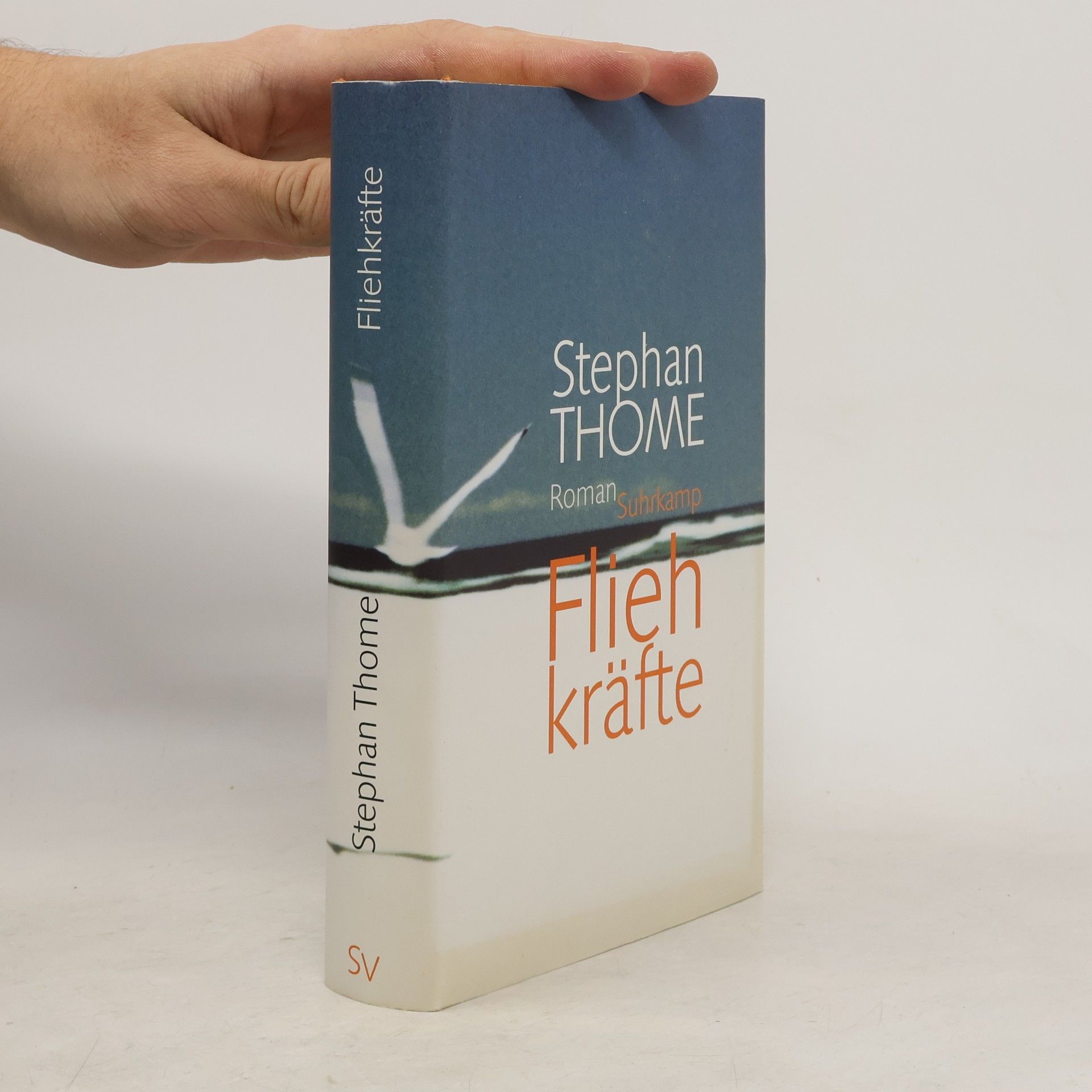 Stephan Thome Fliehkräfte