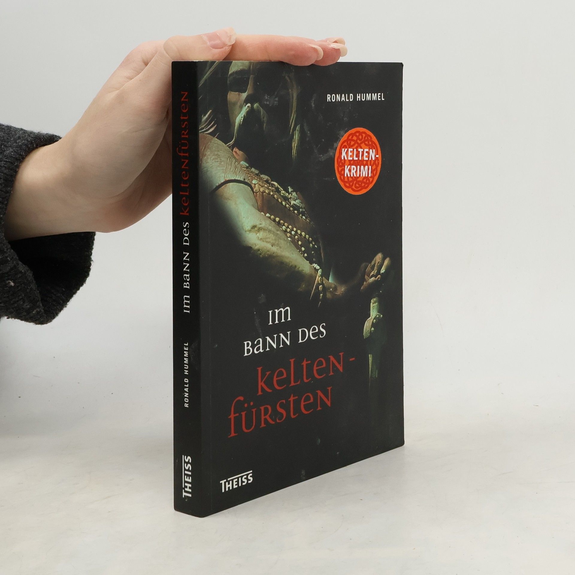 Ronald Hummel Im Bann des Keltenfürsten