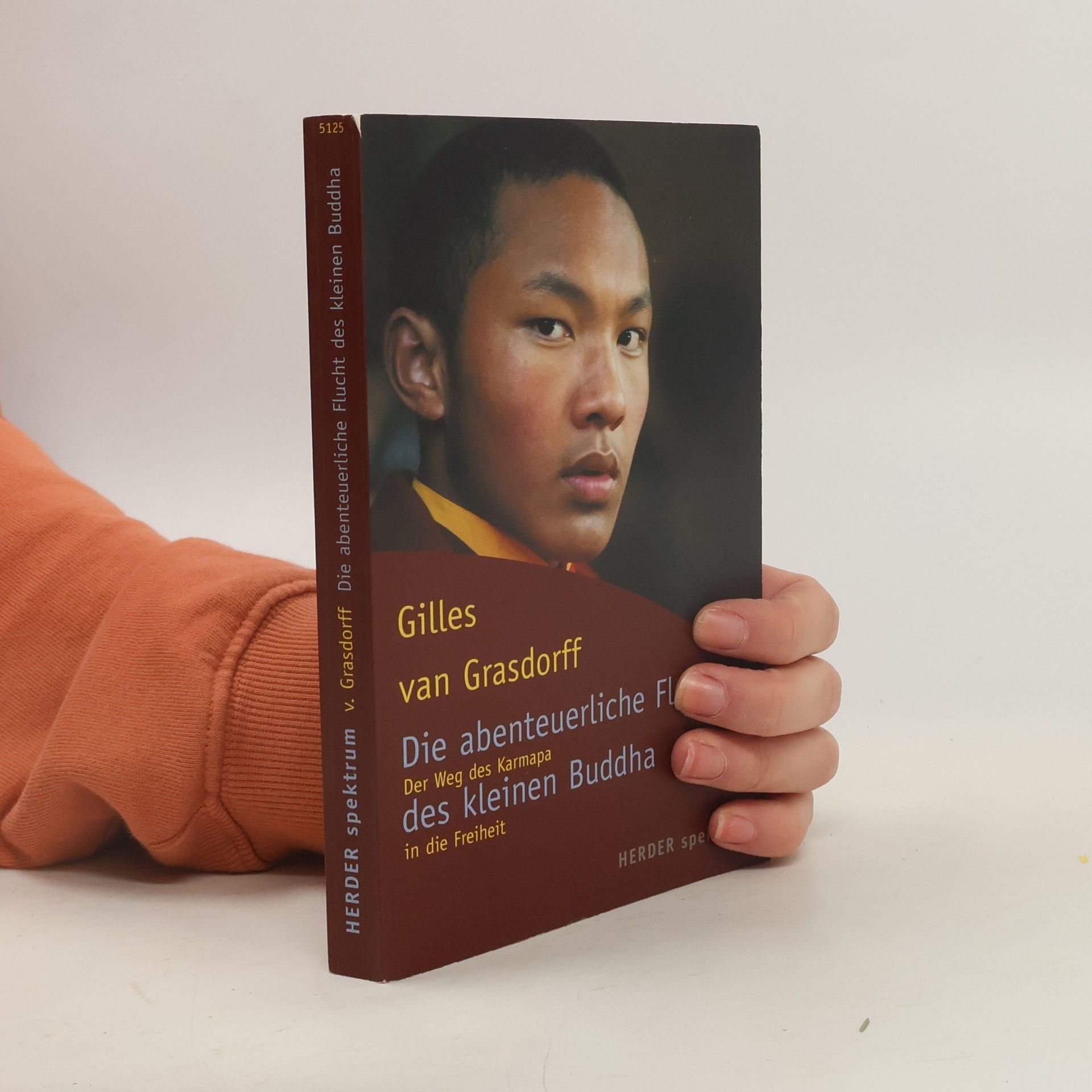 Gilles van Grasdorff Die abenteuerliche Flucht des kleinen Buddha