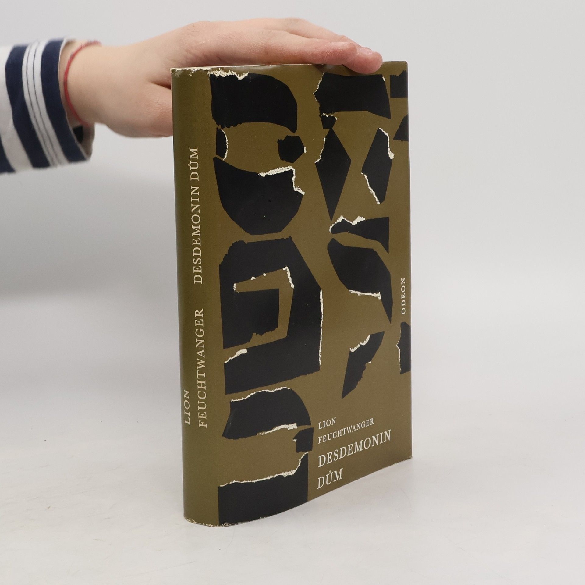 Lion Feuchtwanger Desdemonin dům