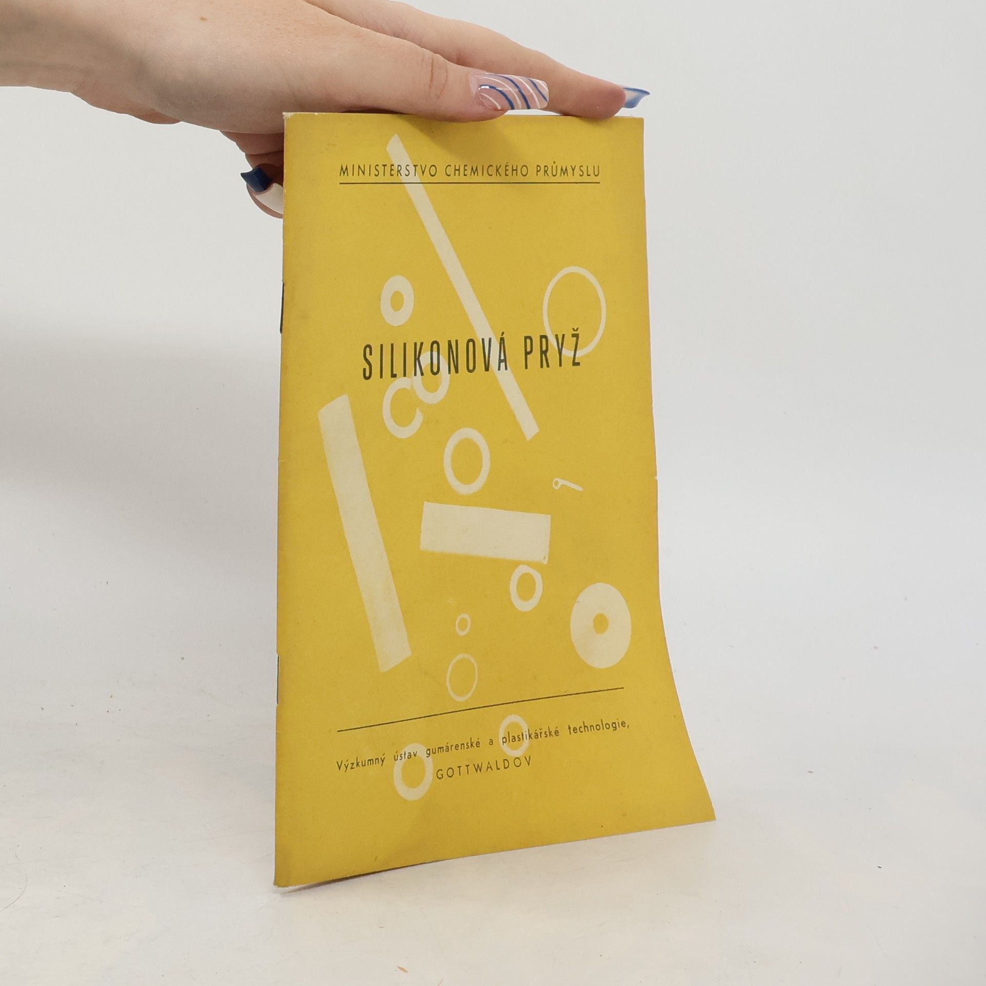 Collectif d'auteurs Silikonová pryž