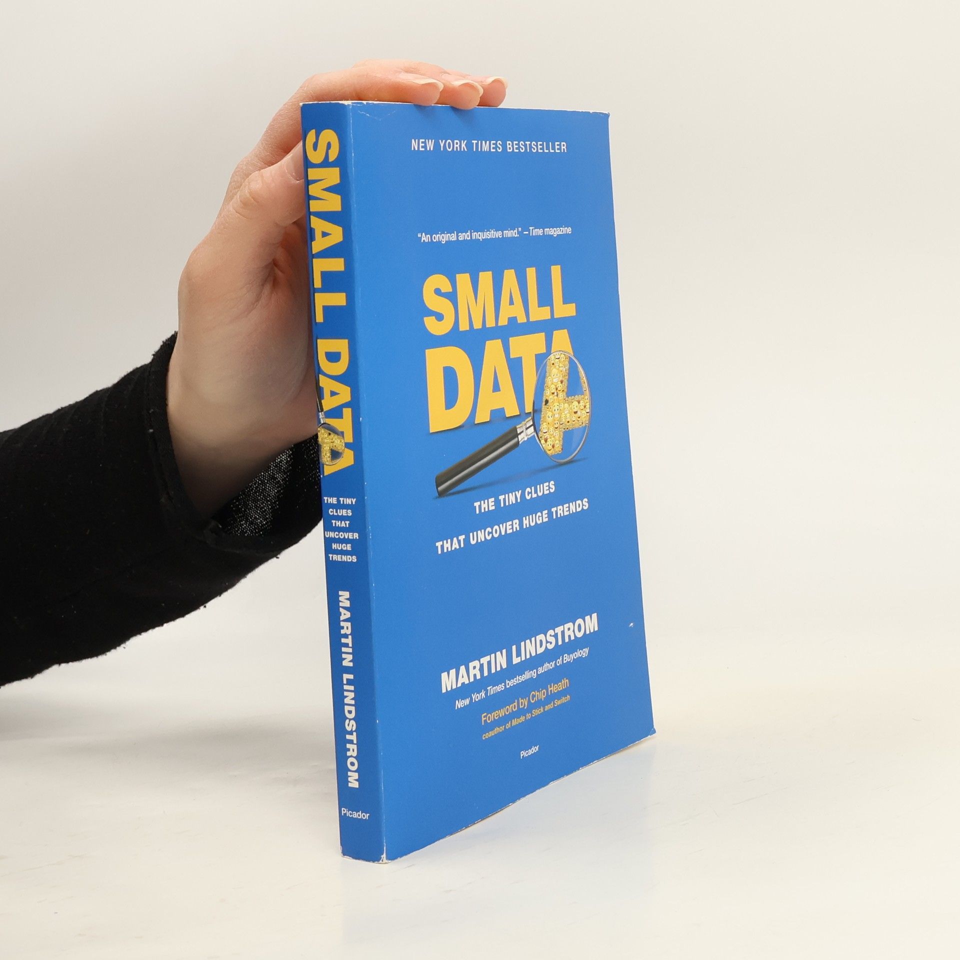 Martin Lindstrøm Small Data