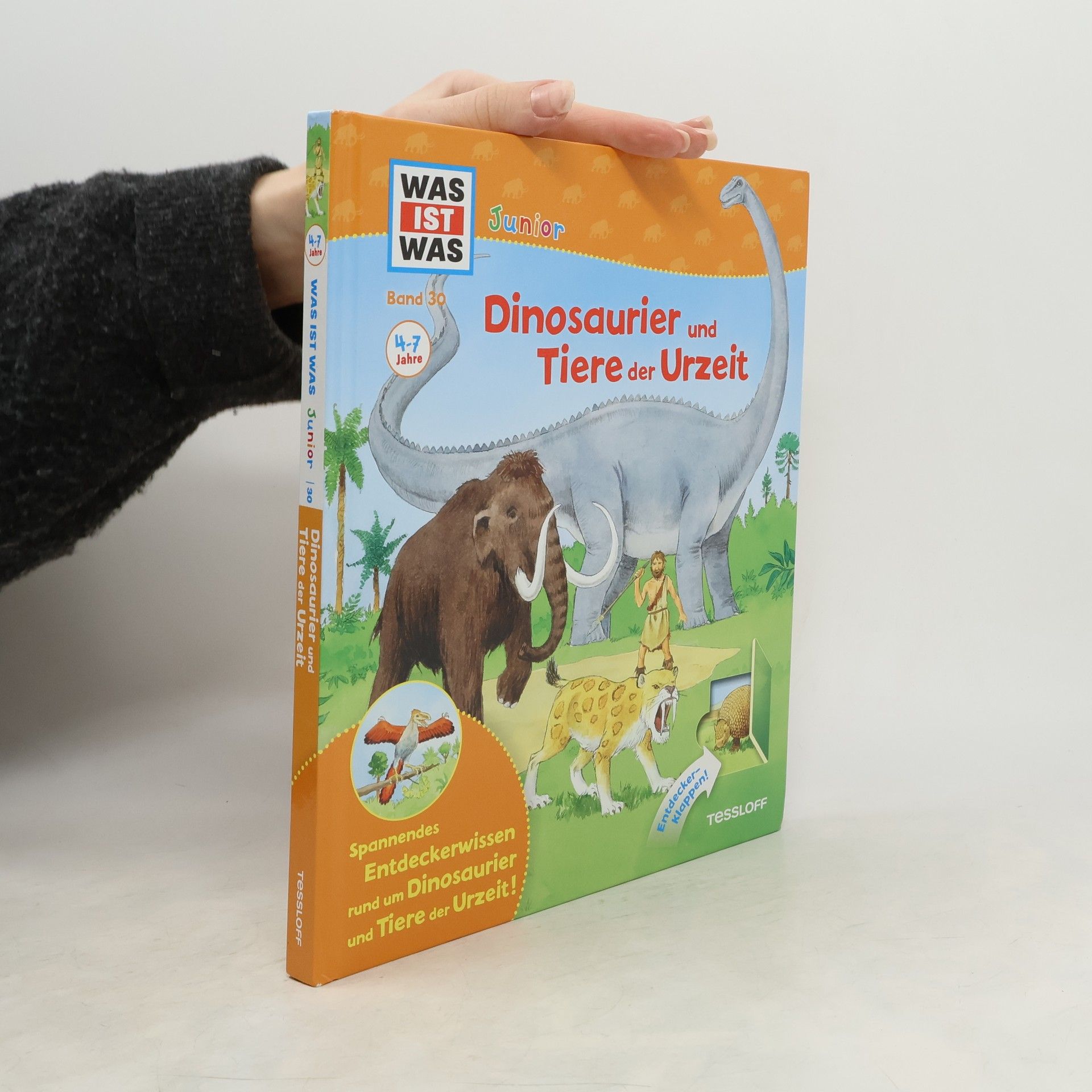 Astrid Vohwinkel Dinosaurier und Tiere der Urzeit