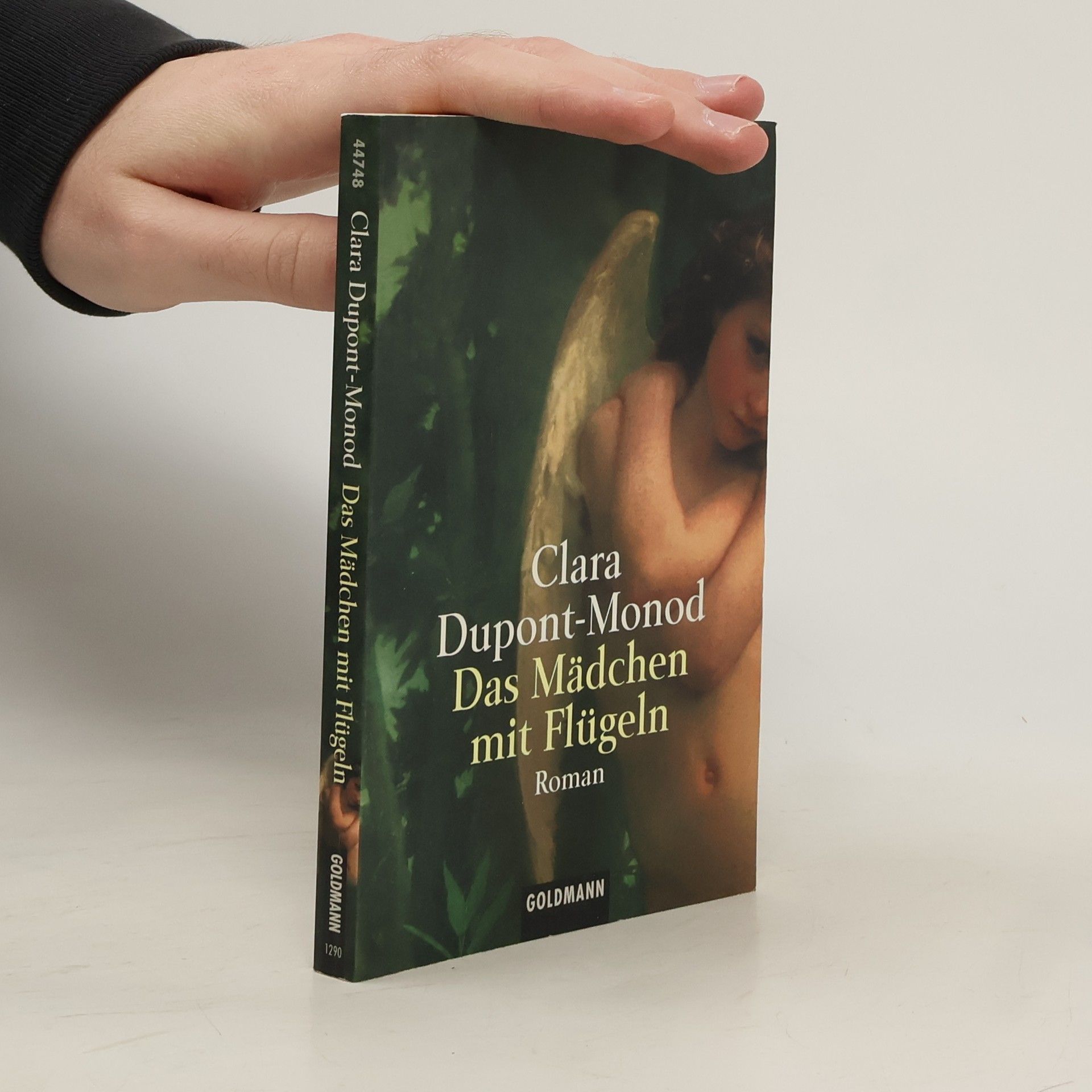 Das Mädchen mit Flügeln