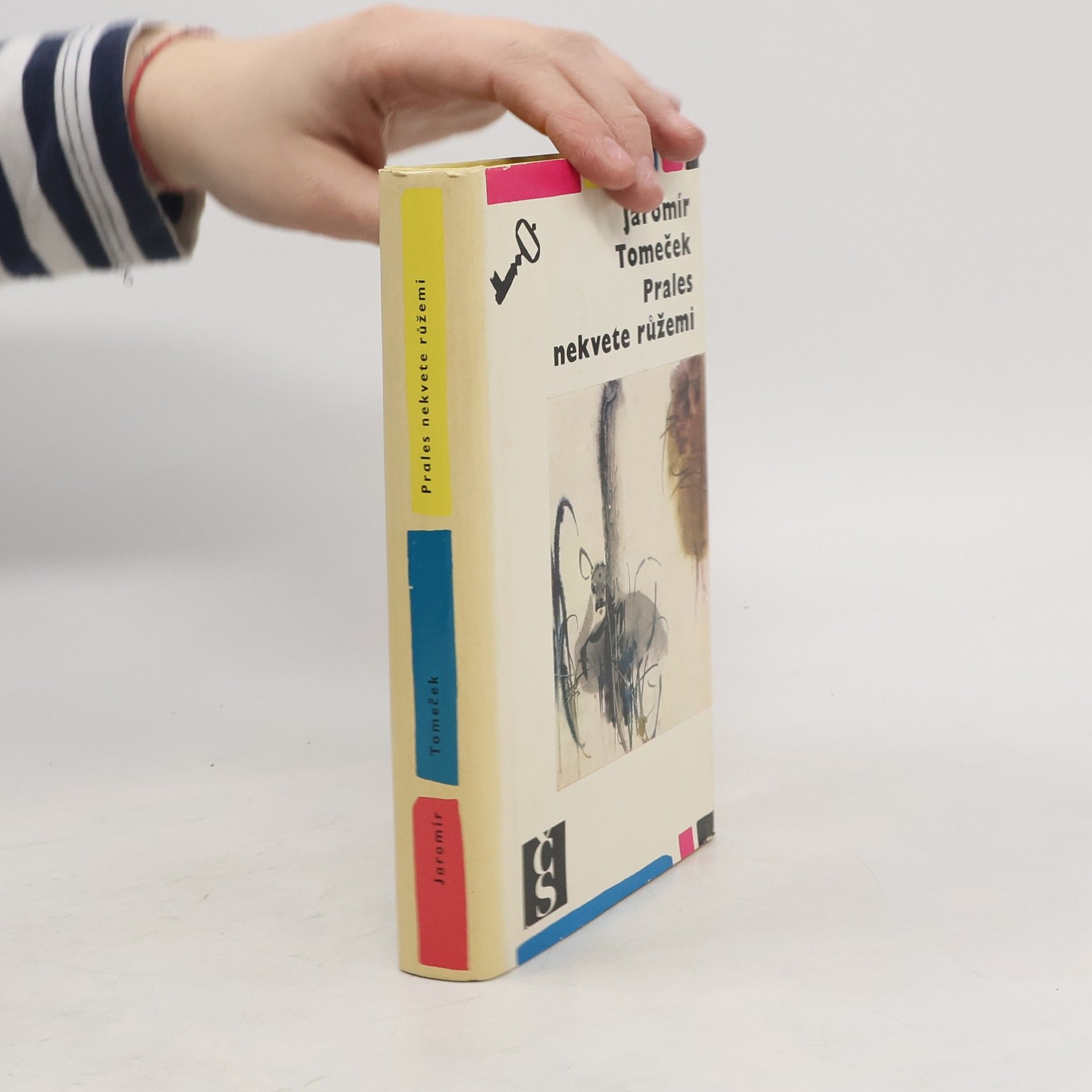 Jaromír Tomeček Prales nekvete růžemi