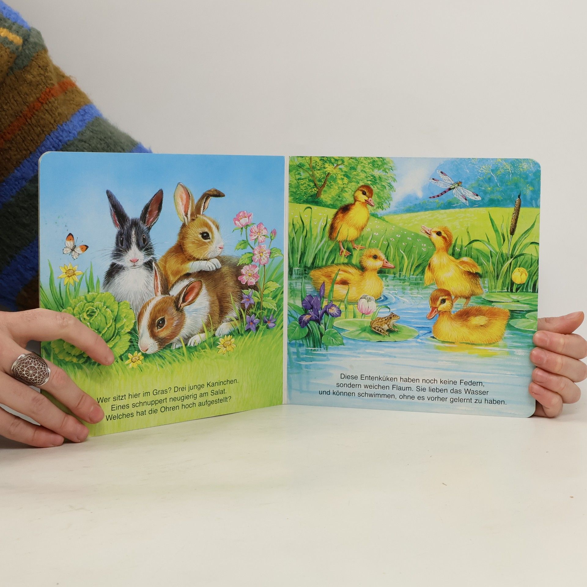 Collectif d'auteurs Liebe Tierkinder