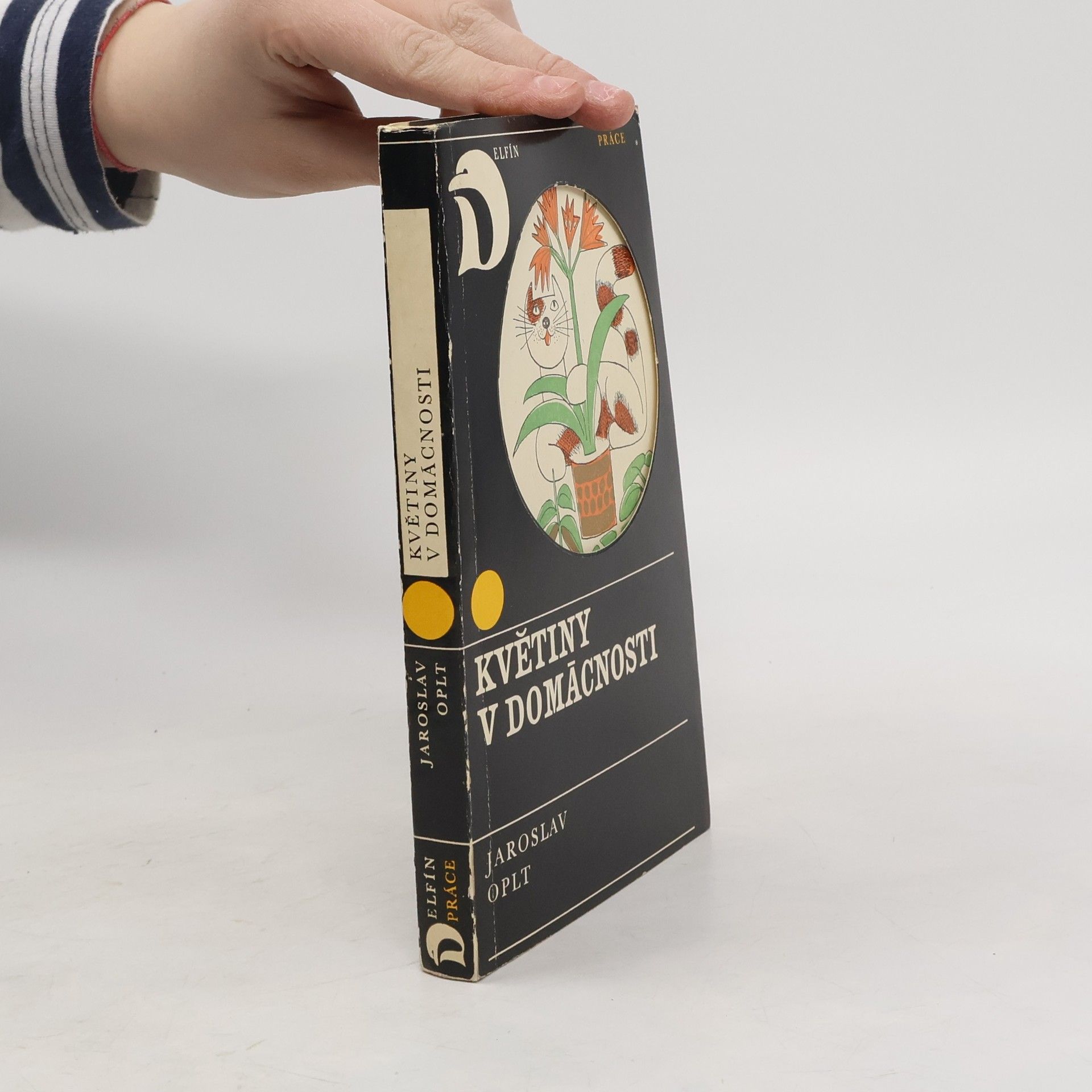 Květiny v domácnosti