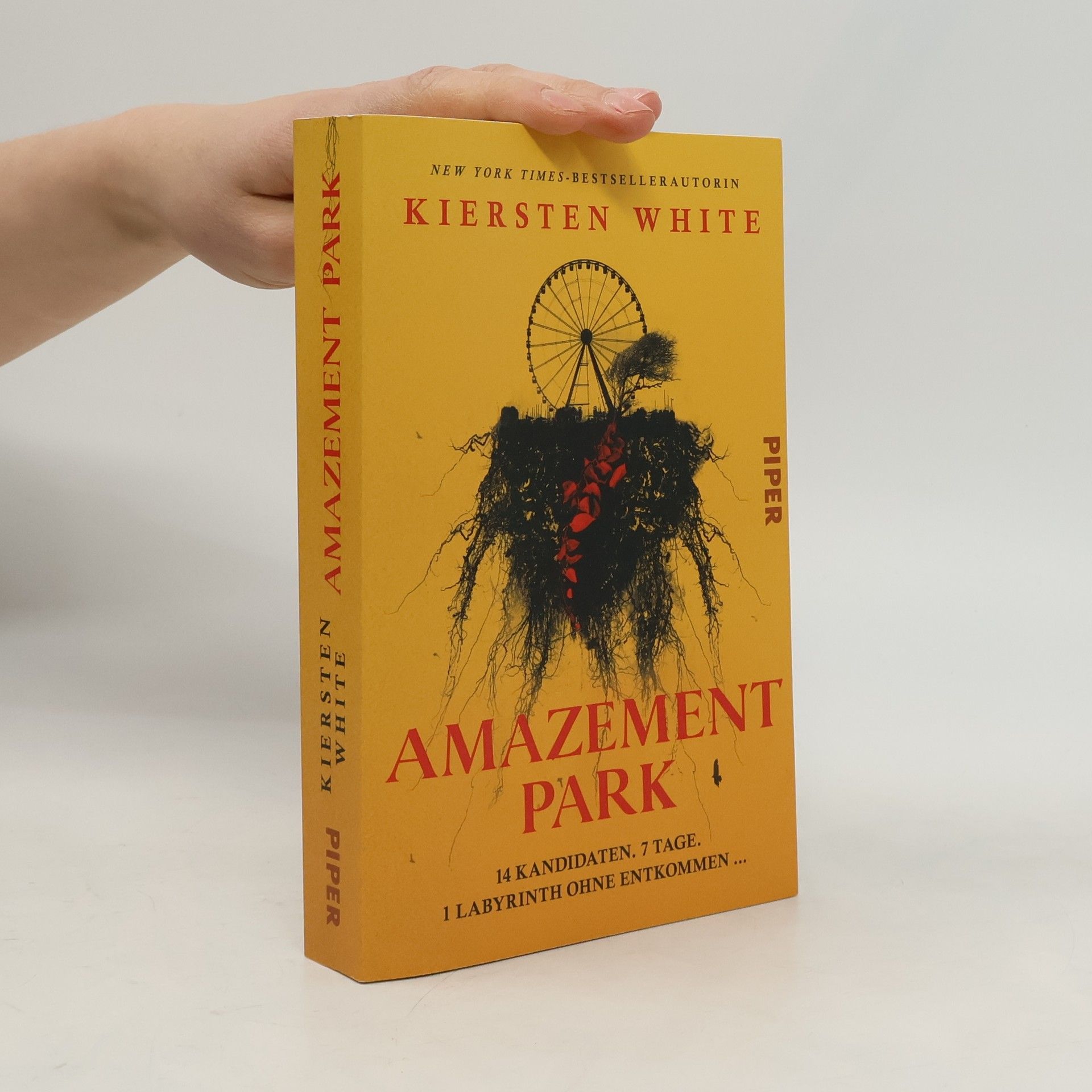 Amazement Park