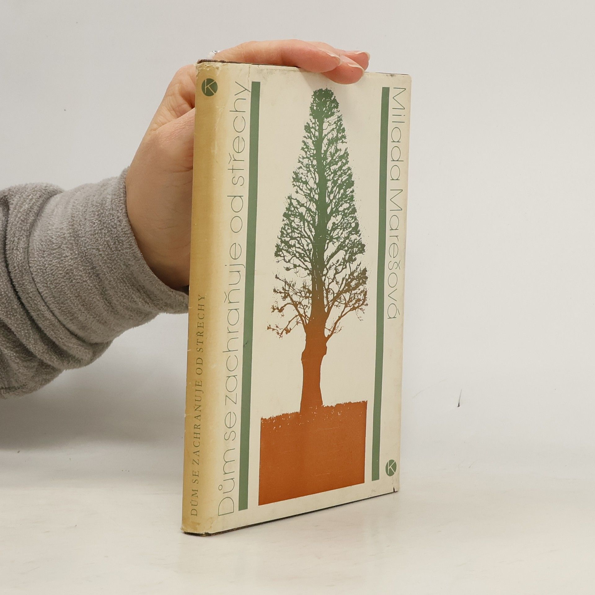 Milan Jaroš Dům se zachraňuje od střechy