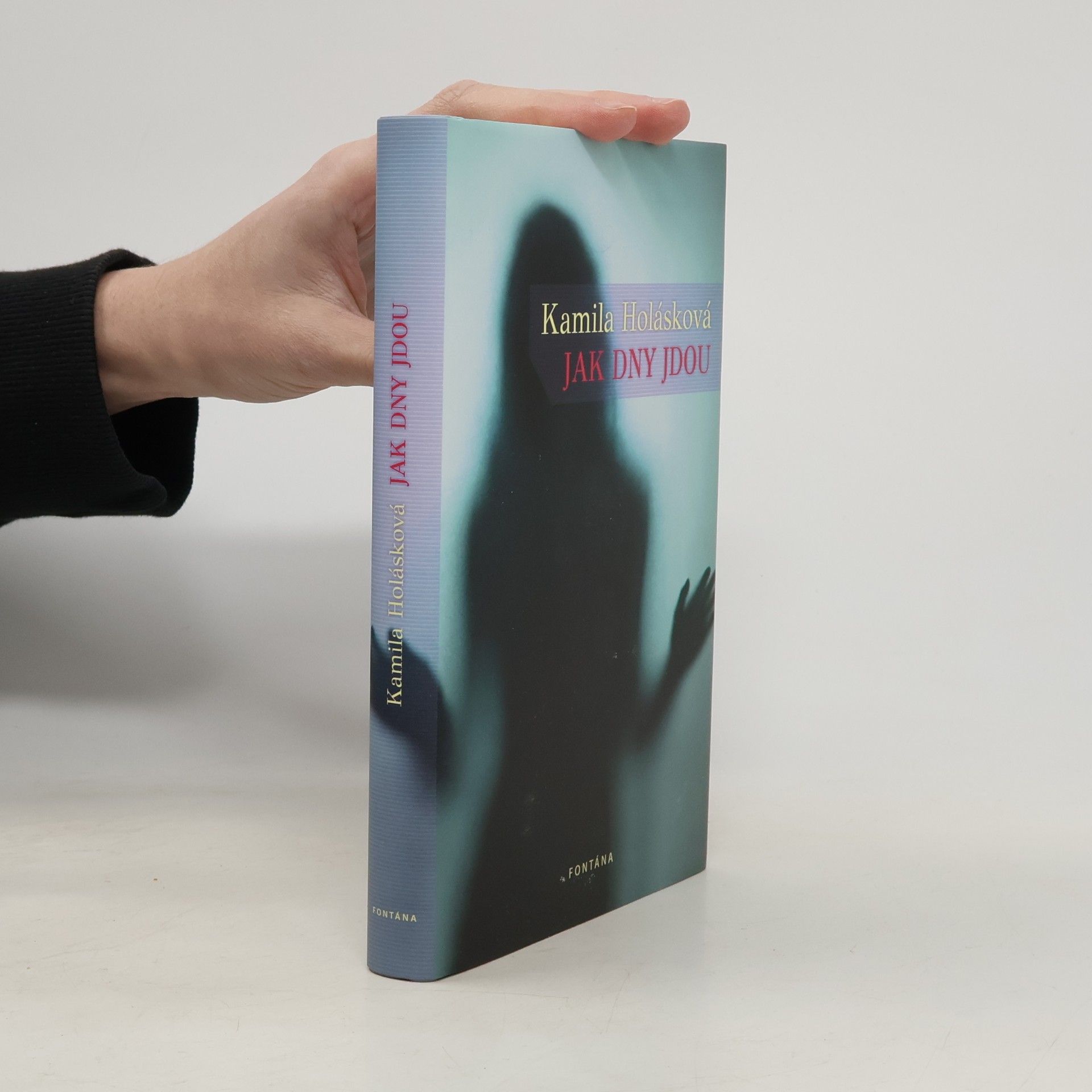 Kamila Holásková Jak dny jdou