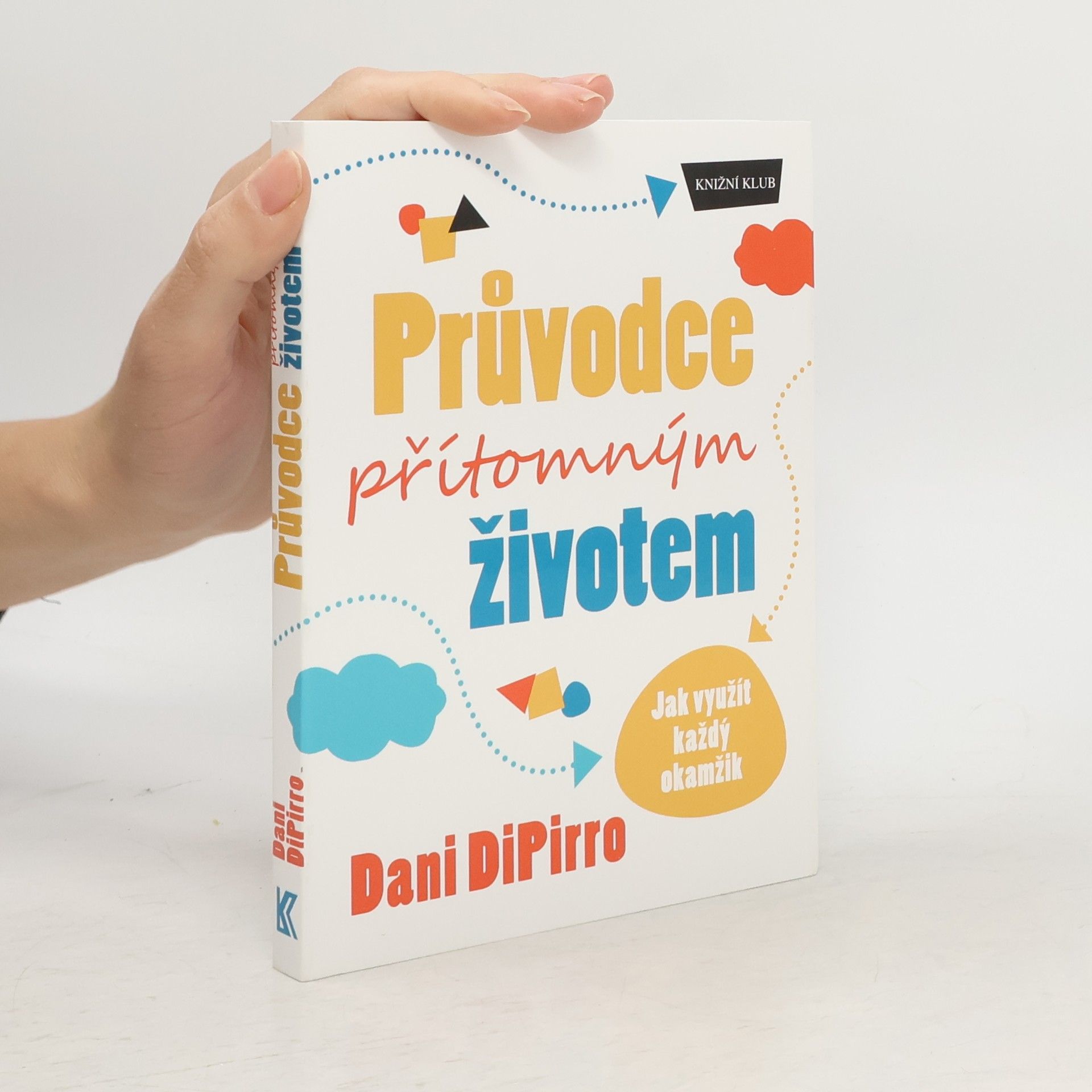 Dani DiPirro Průvodce přítomným životem: Jak využít každý okamžik